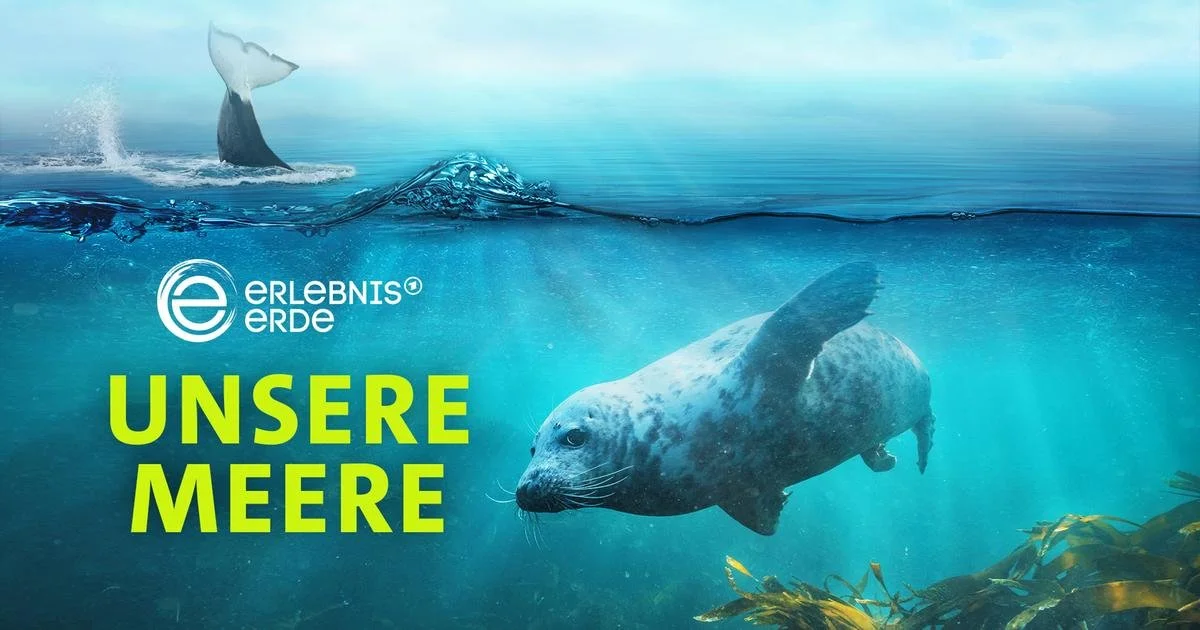 TV AUSSTRAHLUNGEN &amp; STREAMING