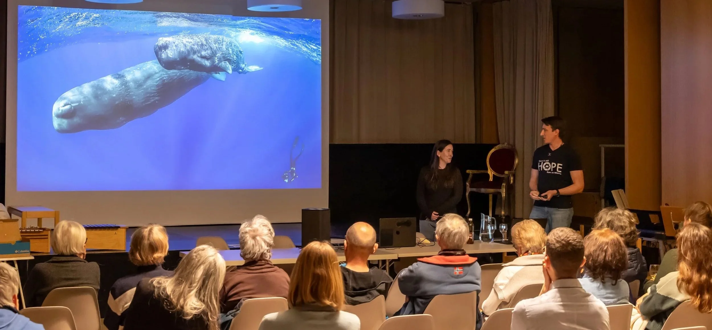 Ein Vortrag im Theater mit zwei Präsentatoren und einer großen Leinwand, die ein Bild von einer Blauwale im Meer zeigt, während das Publikum zusieht.