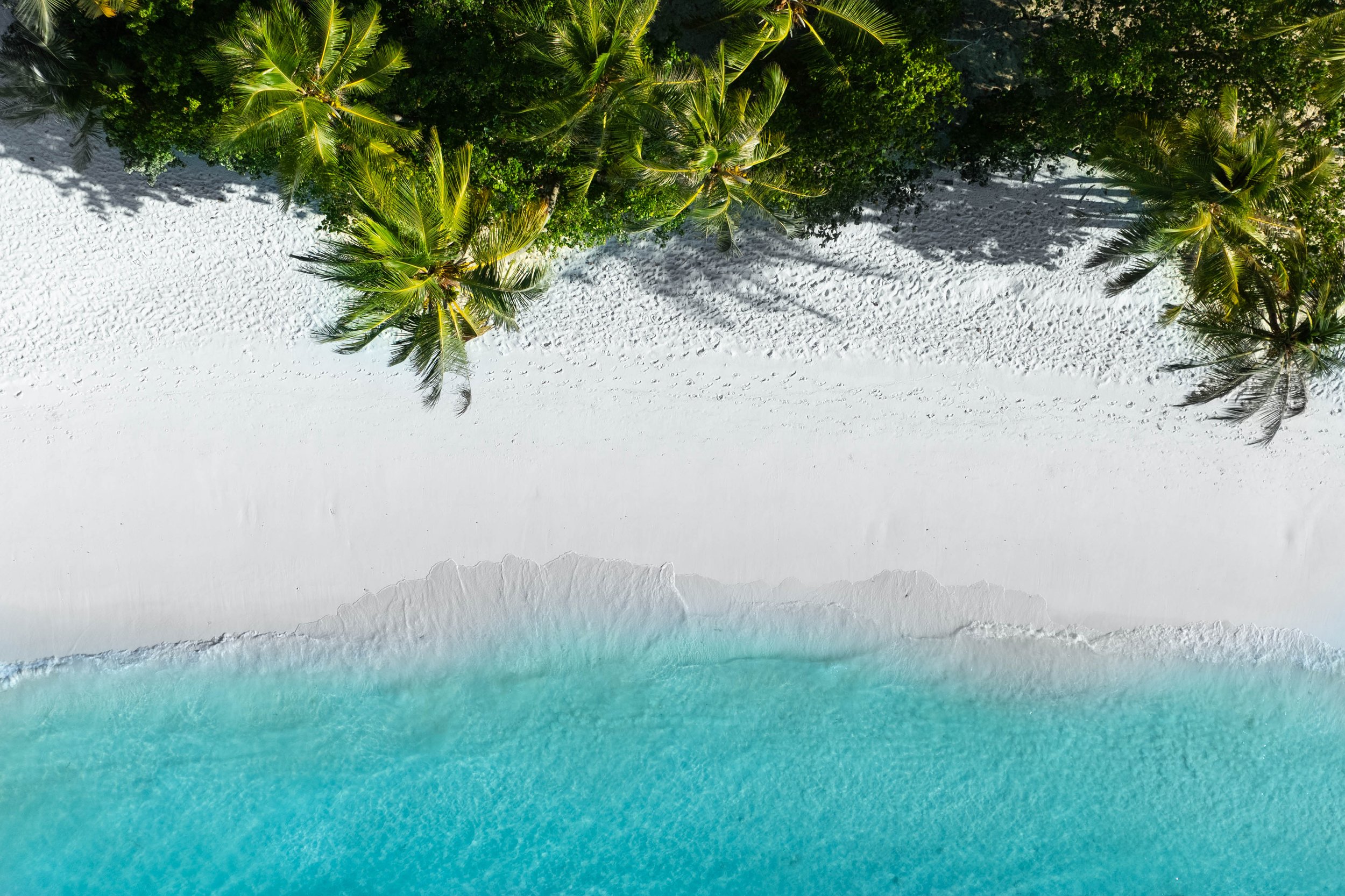 DJI_0871 copy.jpg