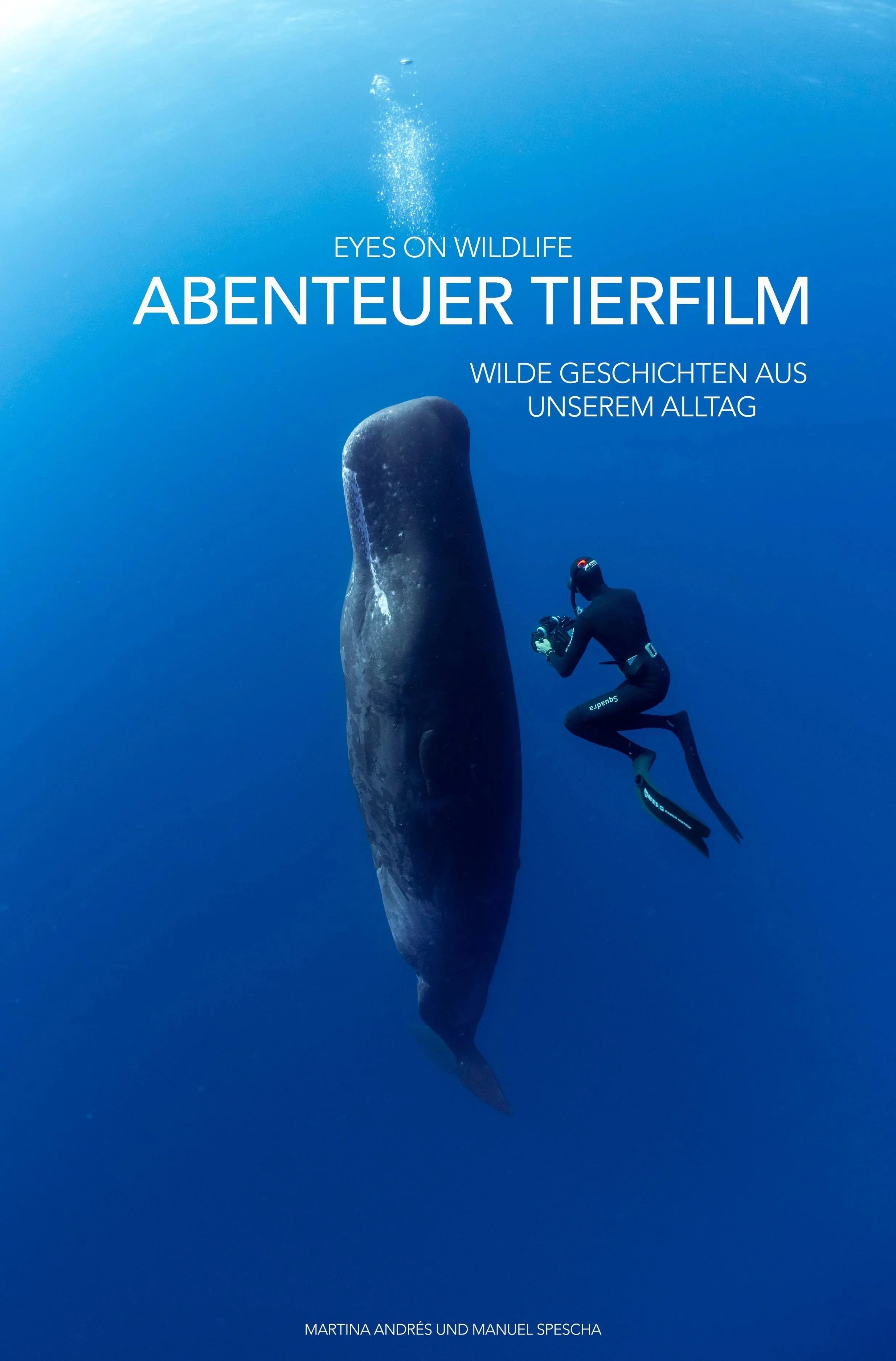 Unterwasseraufnahme eines Tauchers neben einem Buckelwal im blauen Ozean.