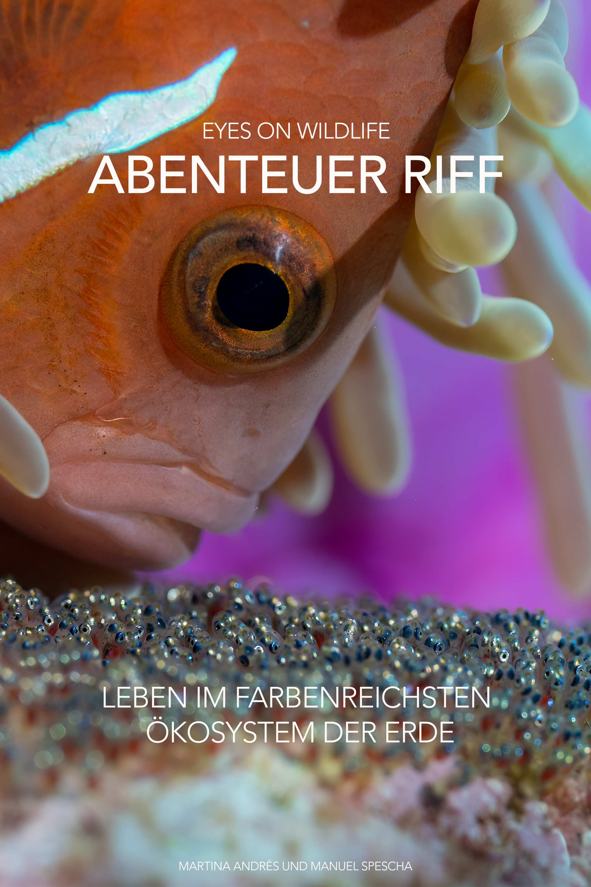Nahaufnahme eines Tauchers mit Taucherbrille und Schnorchel, umgeben von bunten Korallen und Meerestieren, im Rahmen eines Buchcovers für "Abenteuer Riff".