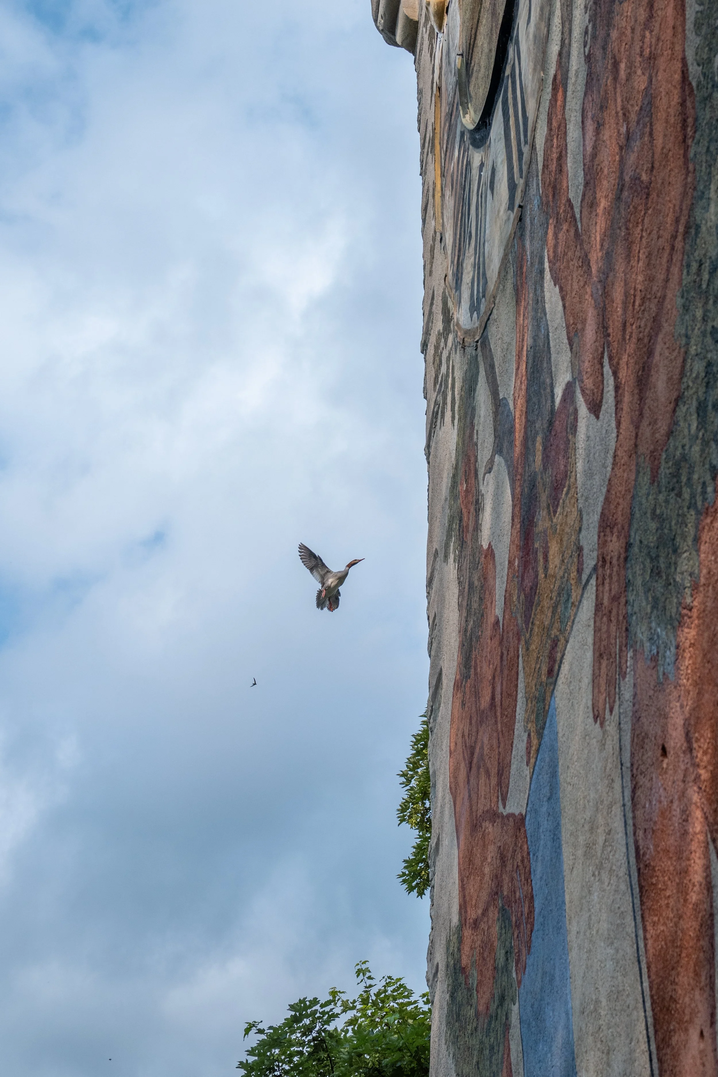 Wolken am Himmel, ein Vogel in der Luft, auf einer bunten Wandmosaik, Bäume im Hintergrund.