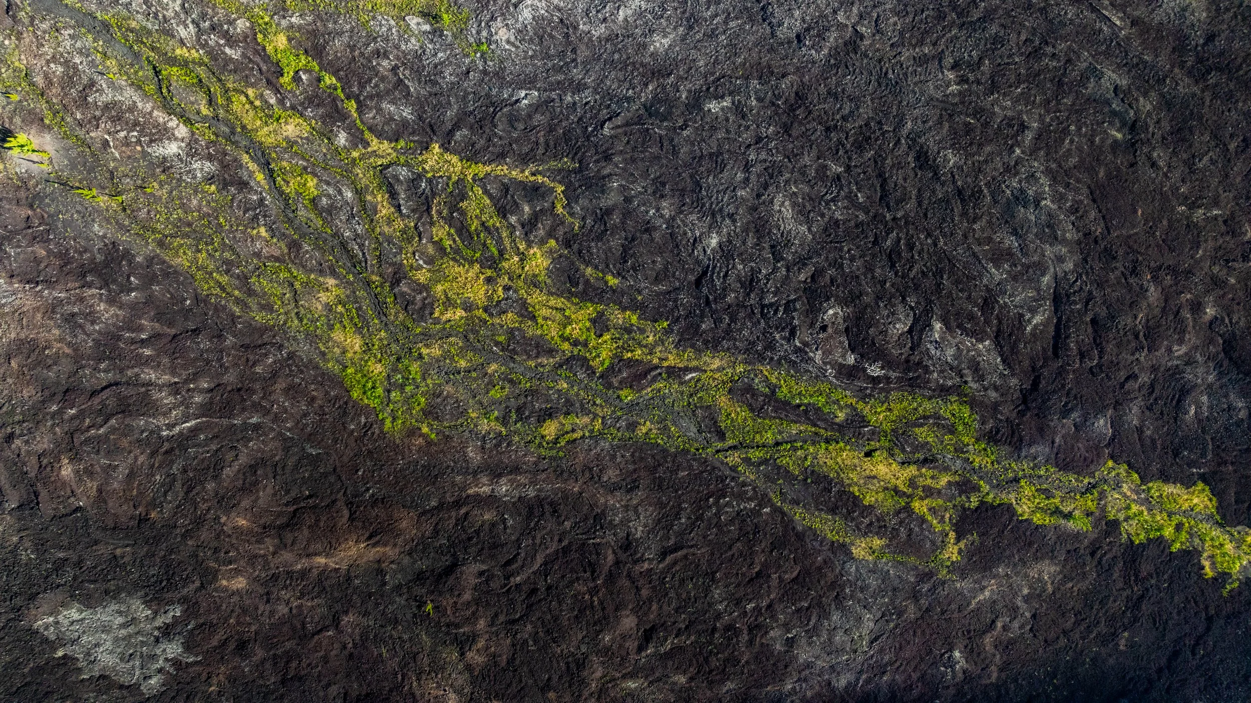 Luftaufnahme einer vulkanischen Landschaft mit schwarzem, rauem Boden und grüner Vegetation in Rinnsalen und Mustern.
