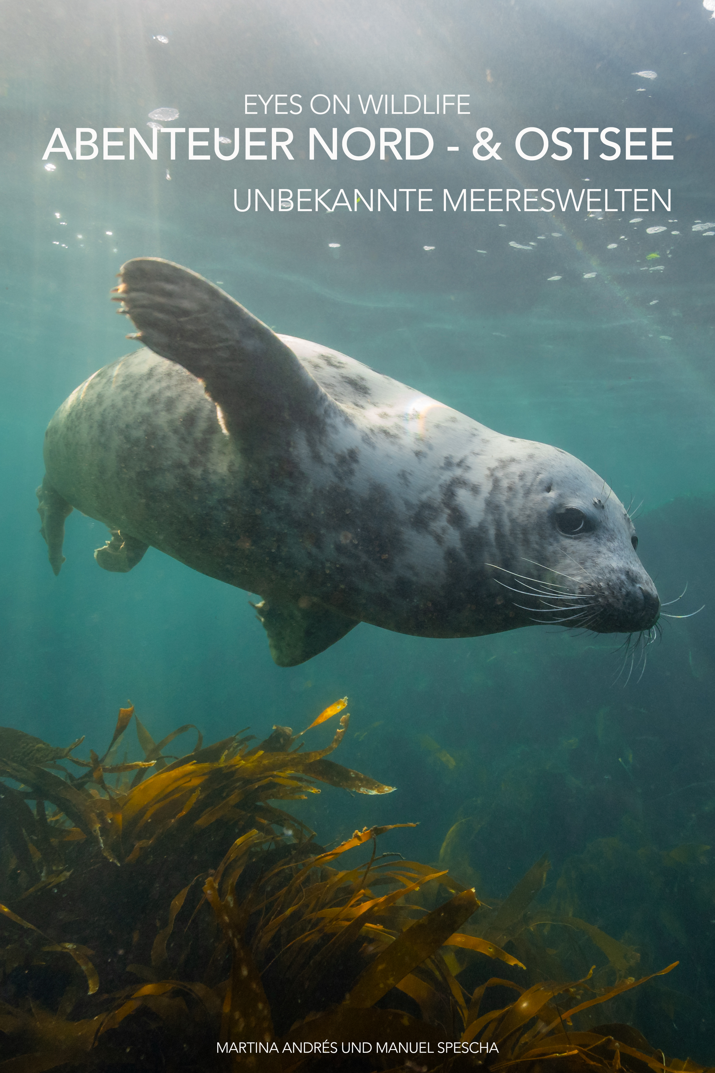 Buchcover mit einem Seelöwen unter Wasser, im Hintergrund Wasser und Seegras.
