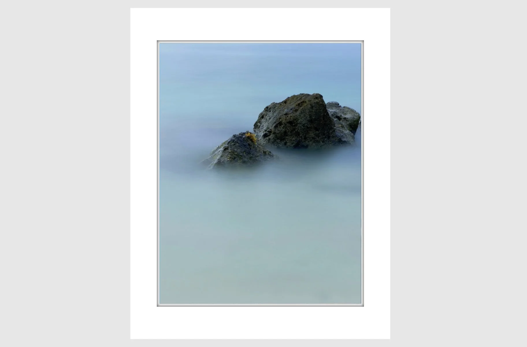 Matted Serenity.jpg