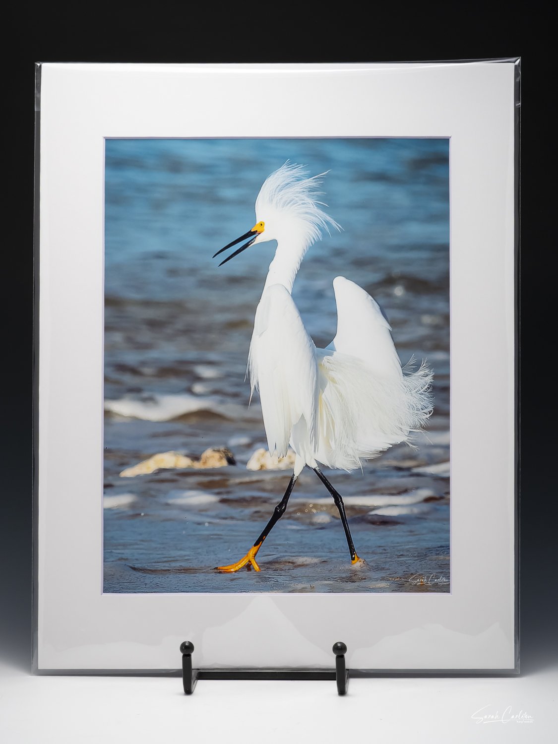 Matted print.
