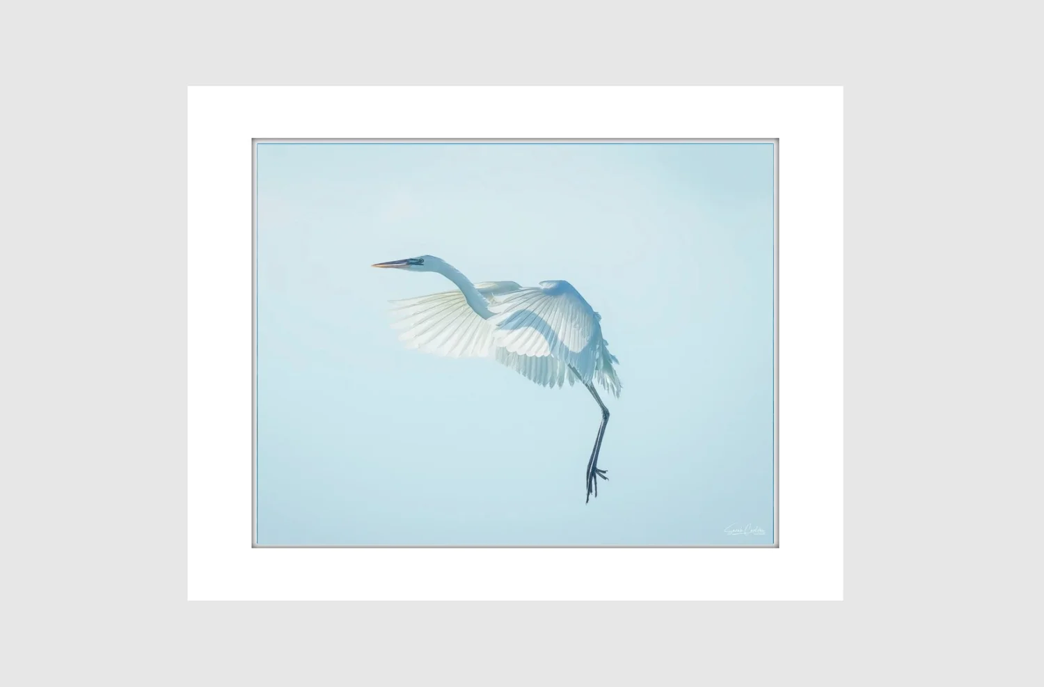 New Affordable Matted Prints Key West Island News New Affordable Matted Prints