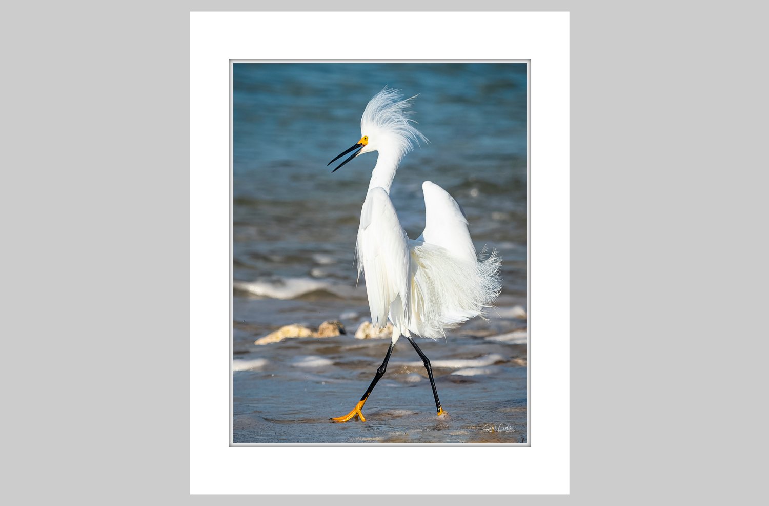 Matted Photo Prints