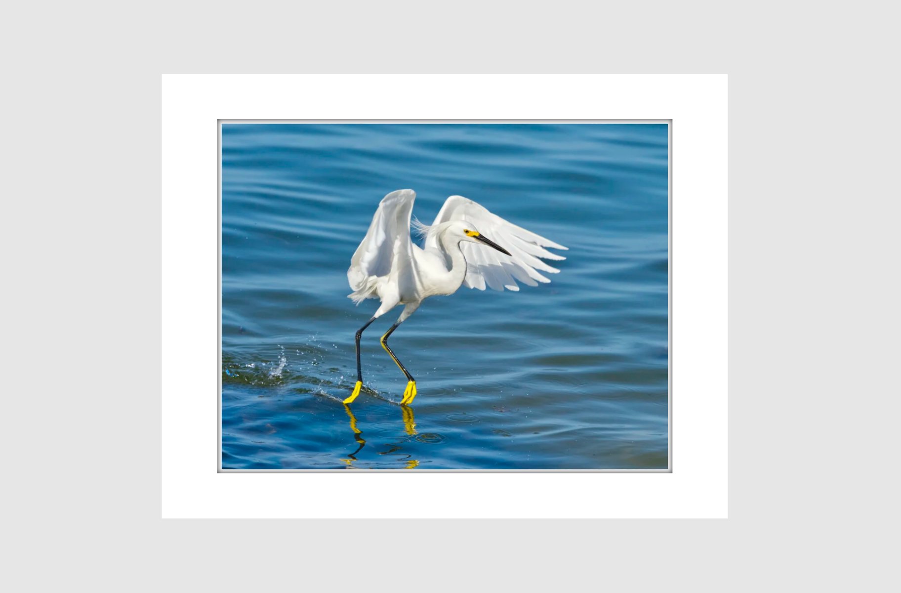 Matted Dancing Across the Water.jpg