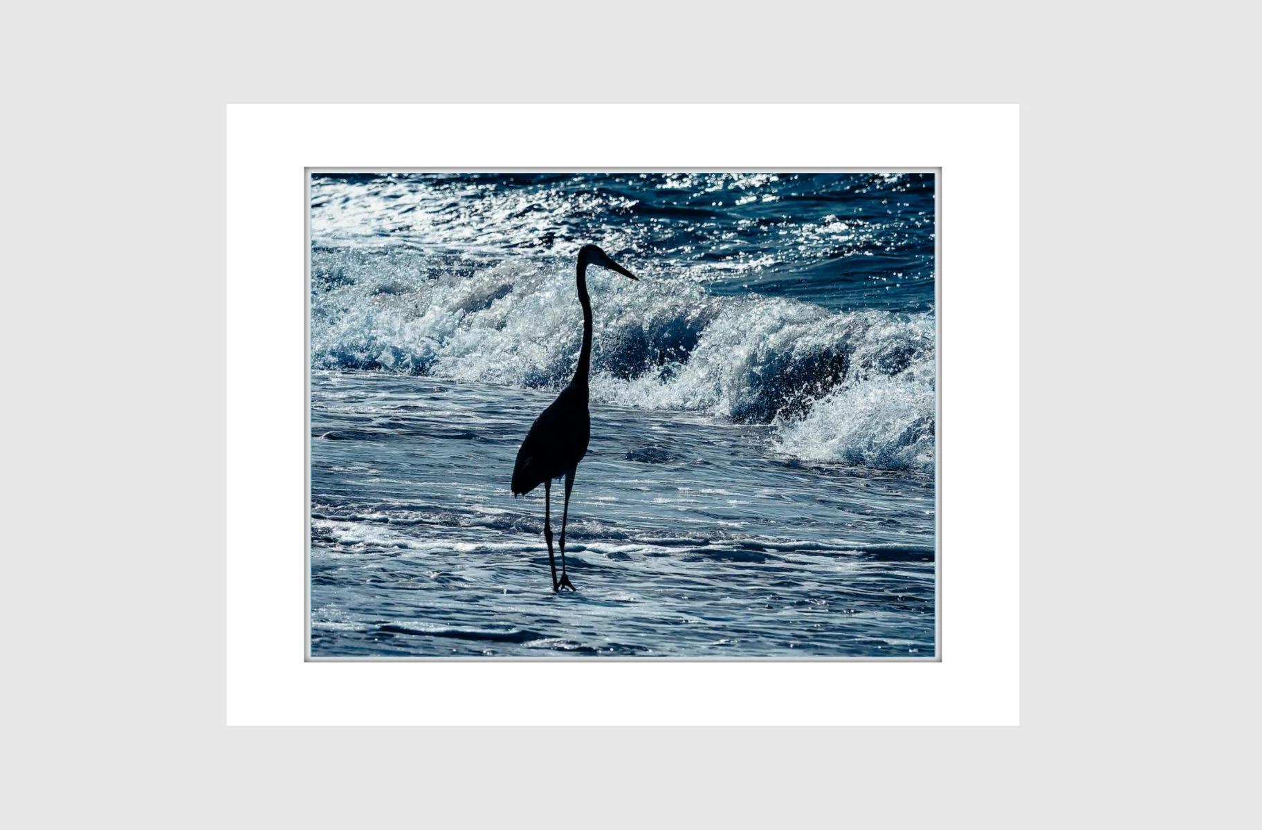 Matted Stillness Among the Waves.jpg