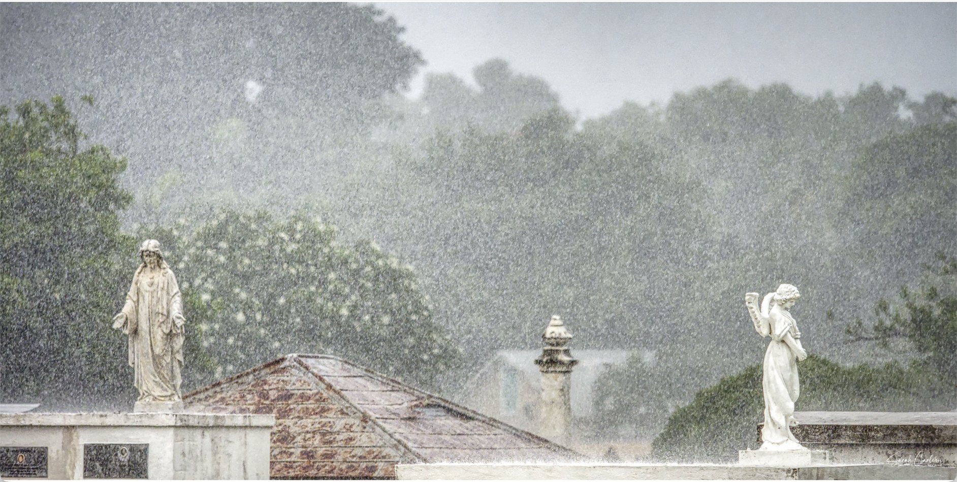 Rain in the Cemetery 2.jpg