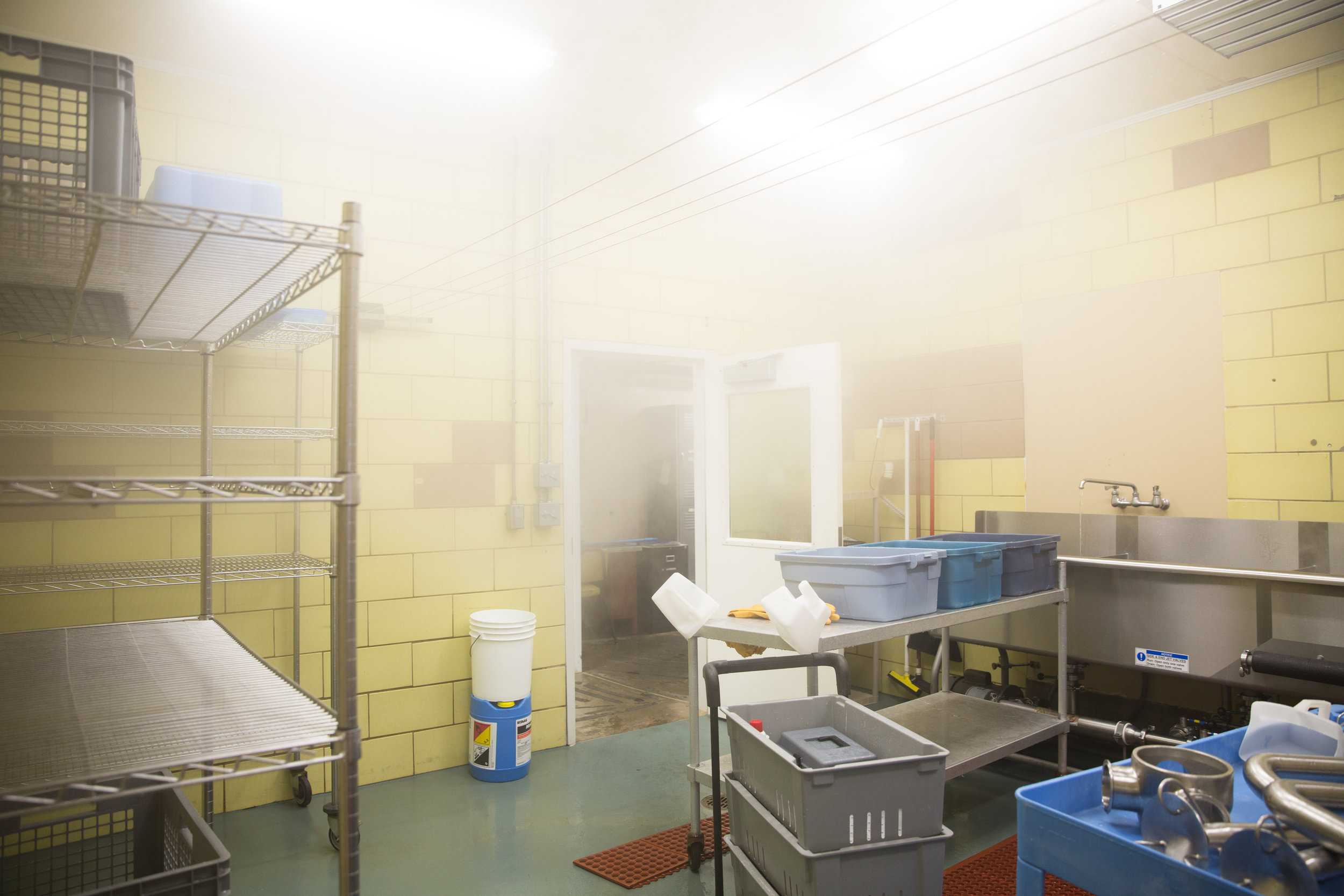  The wash room sits foggy on cheese making days. The cheese making process requires a moist environment. 