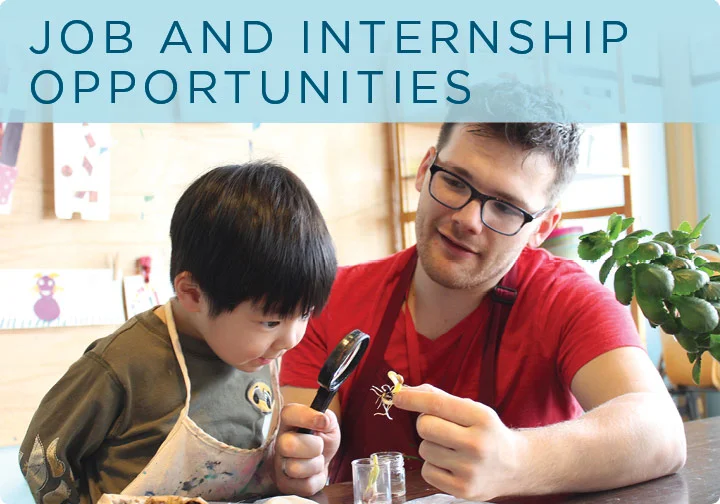 Job and Internship Opportunities