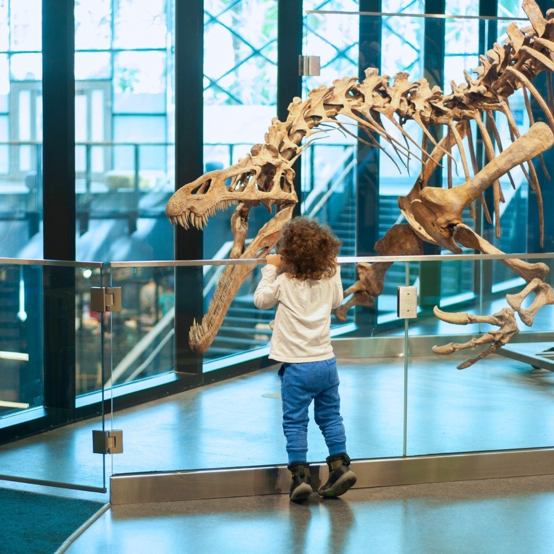 Play For All is tomorrow, Saturday, June 1! ⏰ The museum will open late to the public at 11 am.

Play For All invites children and families with disabilities and Chicago Children&rsquo;s Museum members to experience the museum's inclusive, multisenso