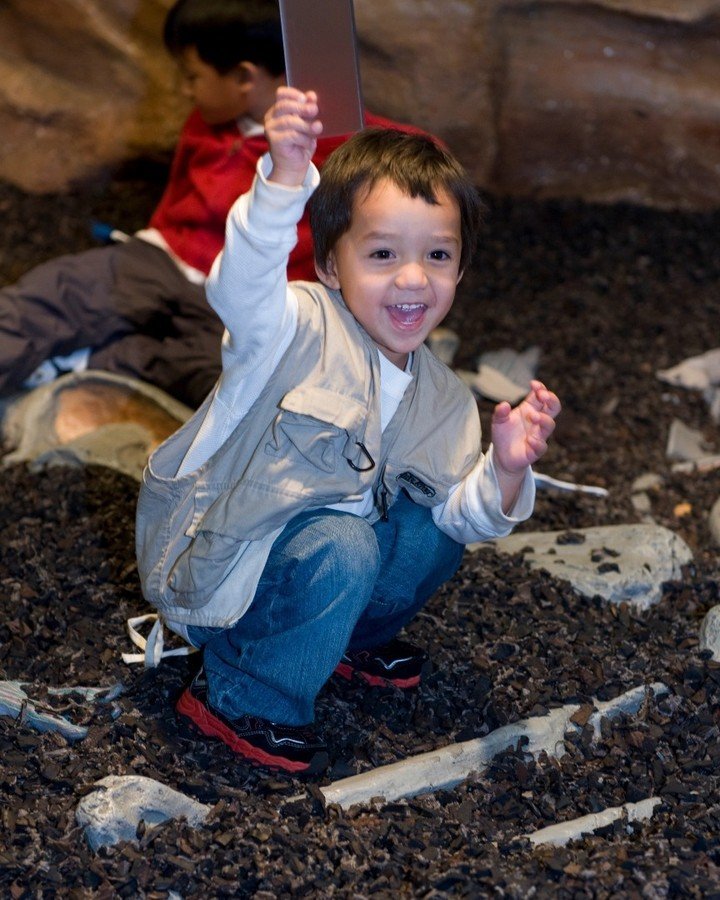 Dig up dinosaur bones with us!🦖🦴 

Visit our Dinosaur Expedition to learn what it's like to be part of an expedition team and excavate🪏 a dinosaur skeleton during our Kids Free Day on Nov. 2. https://loom.ly/lOKDkss 

Kids Free Days are generously