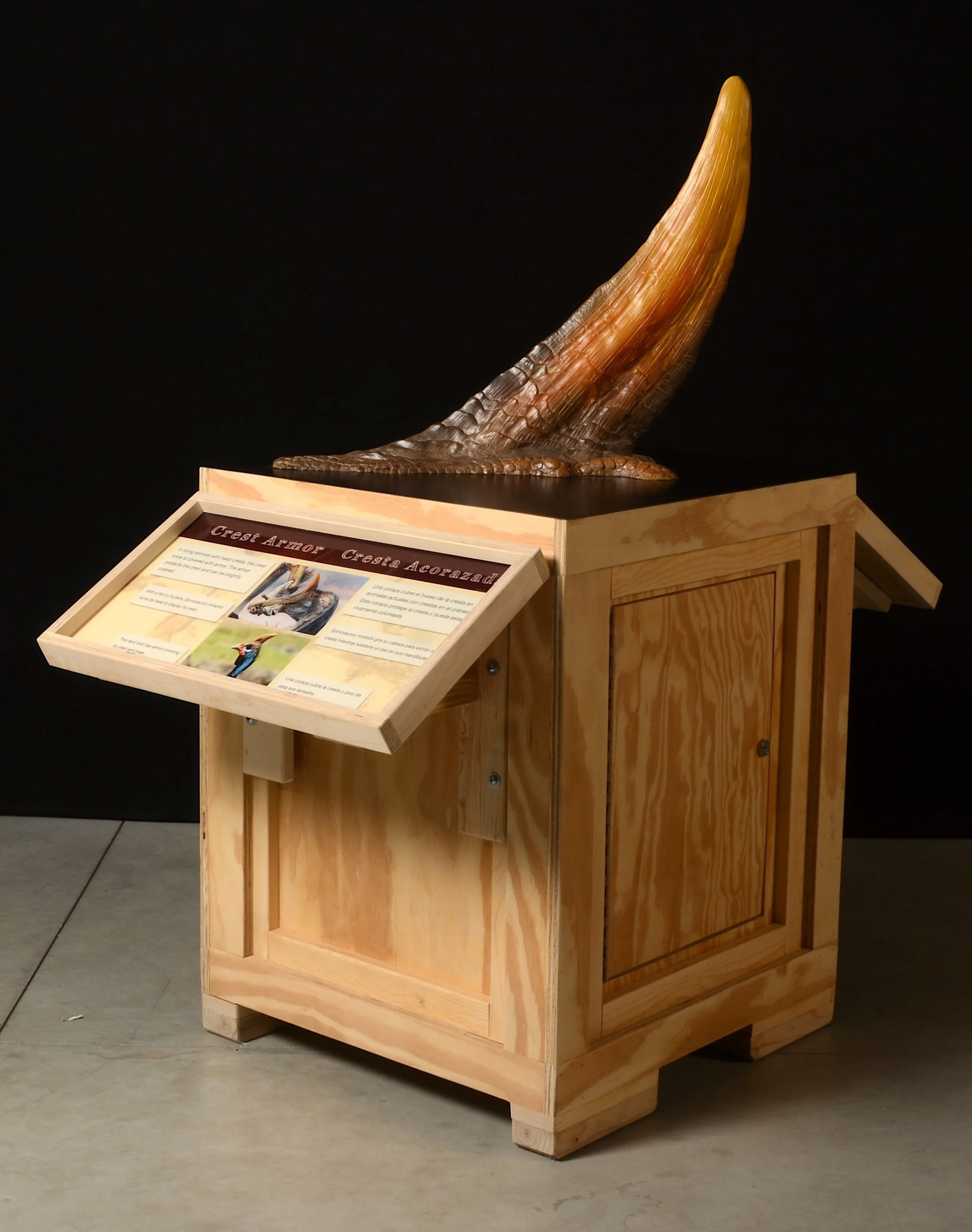 2-Keratin-covered touch crest for CCM-Erin Fitzgerald.JPG