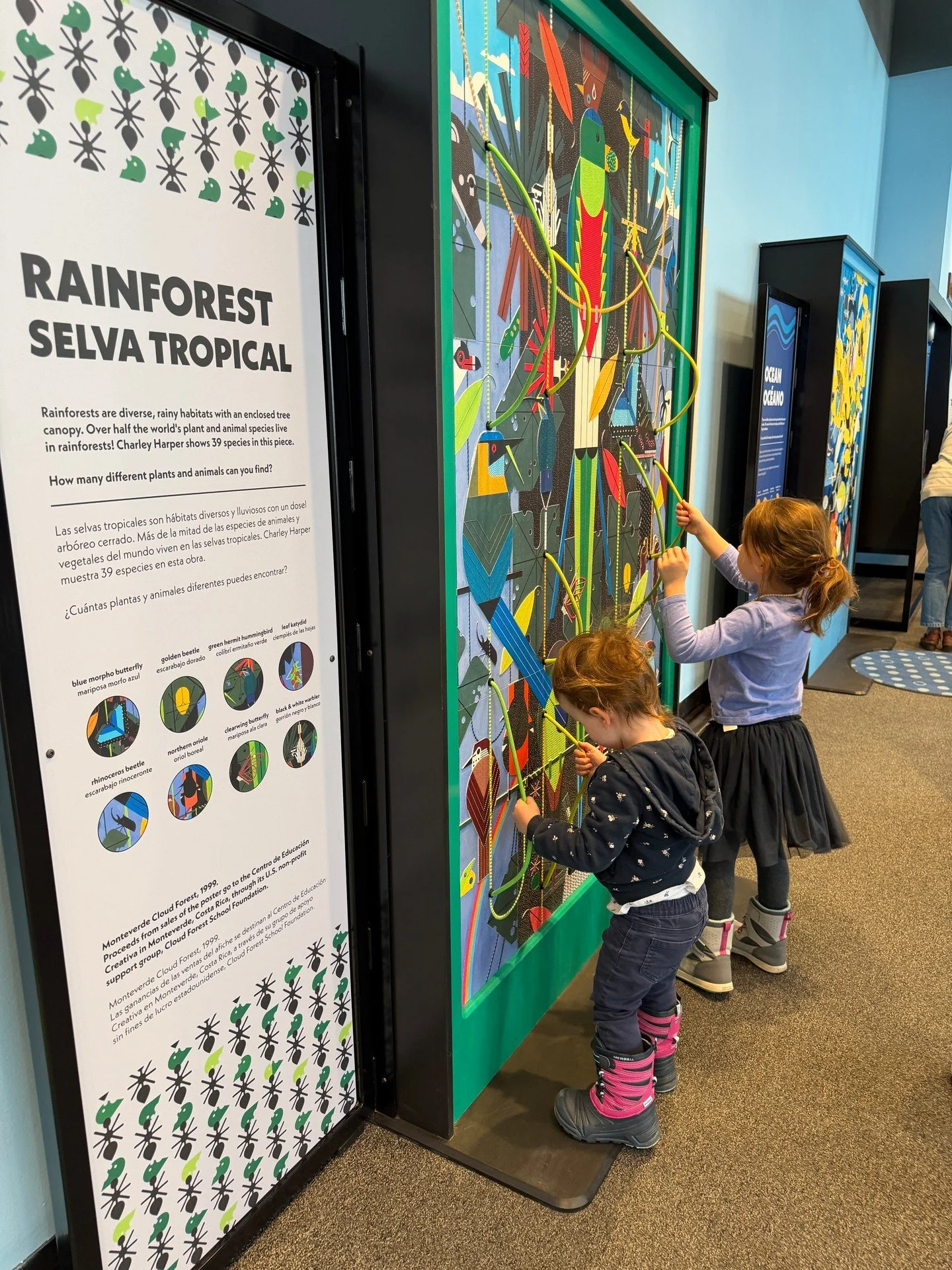 The rainforest is filled with all sorts of creatures big and small, feathered and furry. Hear some of the many birds that inhabit the rainforest in I AM WILD: A Charley Harper Exhibit. https://www.ccm.org/i-am-wild