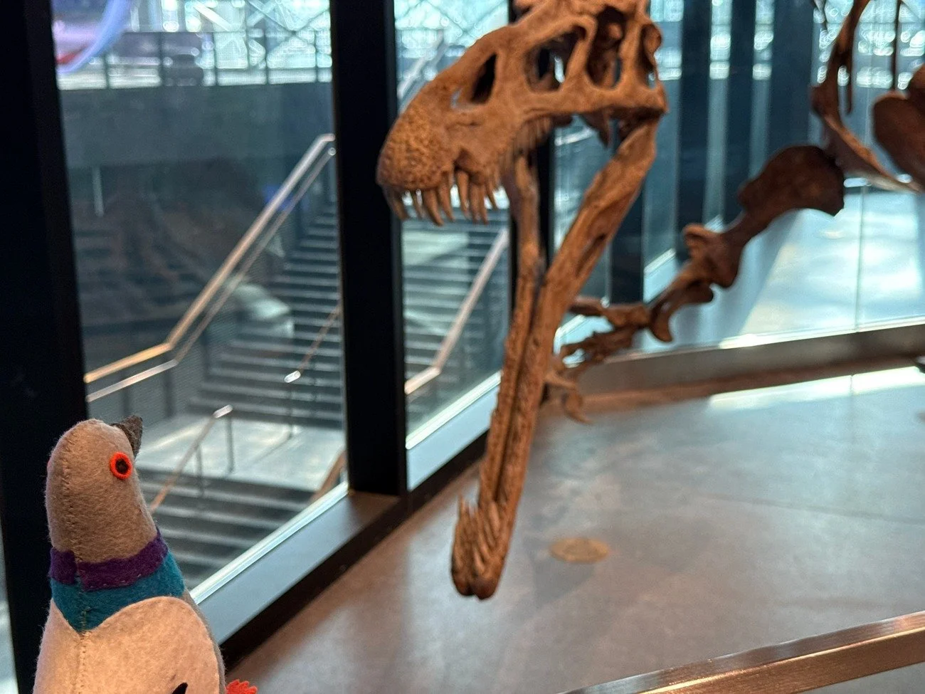 Looks like Earl might be a little in awe of his long lost, much older relative, Suchomimus. 🤩
You can see Suchomimus next time you visit and then head up to Dinosaur Expedition to dig for his bones.