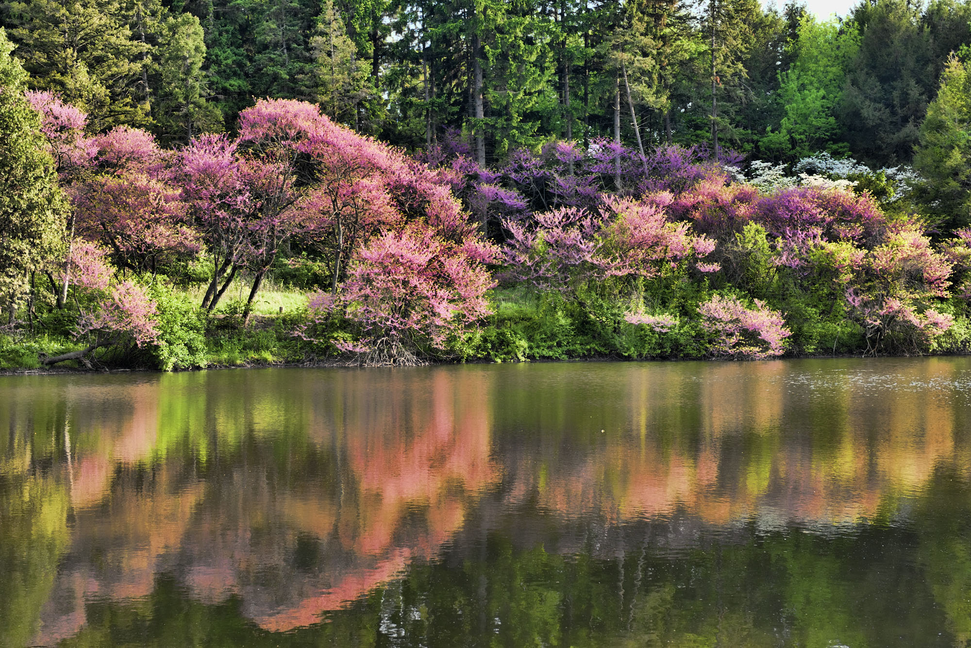 DSC_8235.jpg