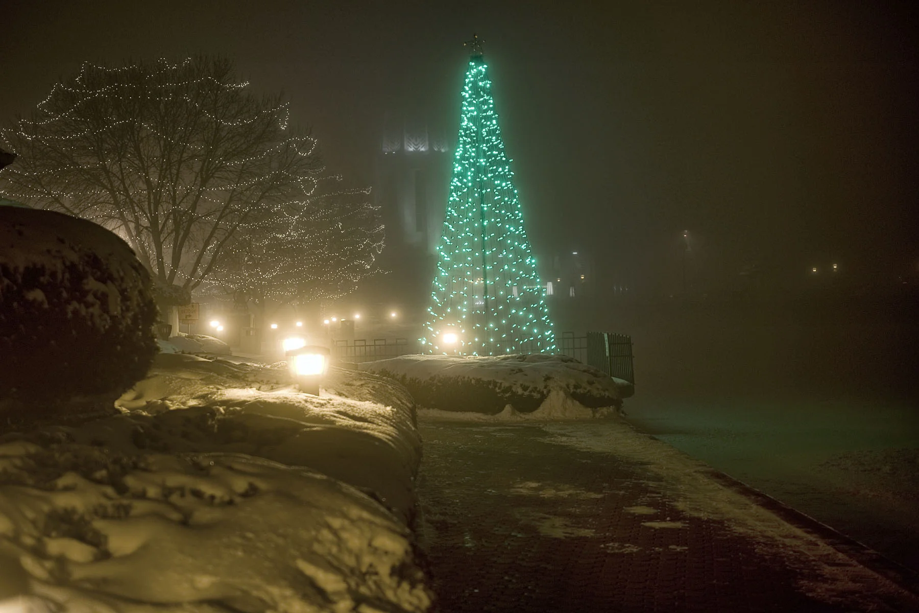 20101221DSC_7357r1.jpg