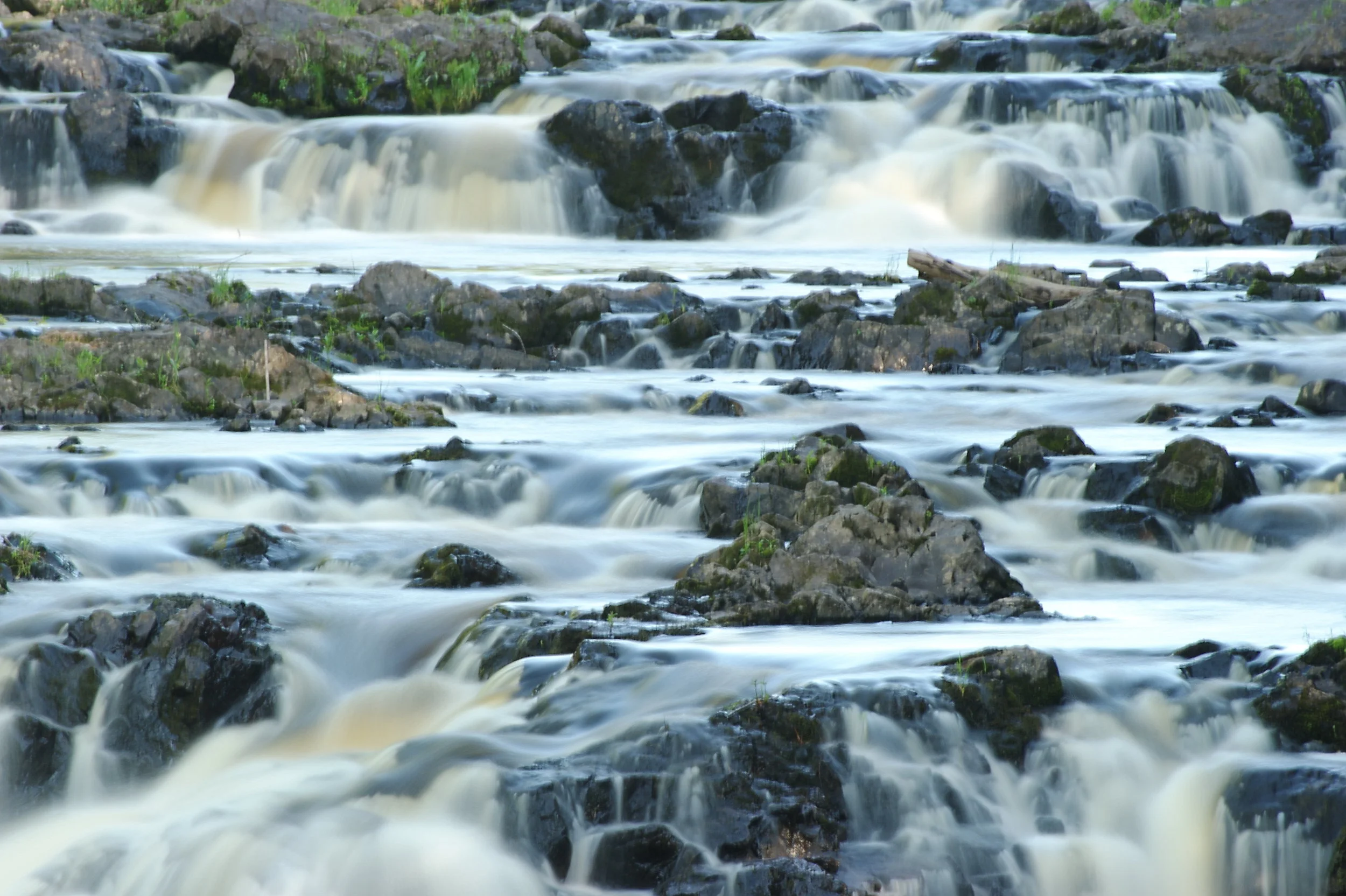 20100529DSC_2990.jpg