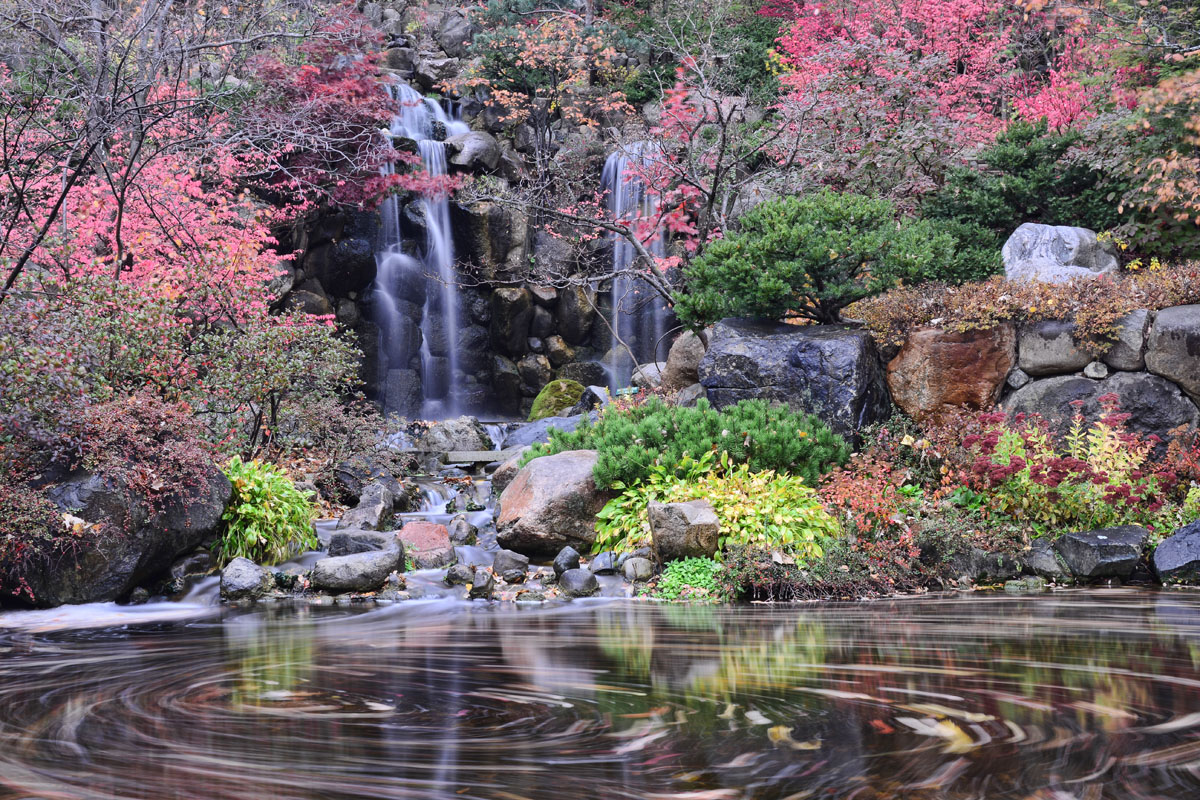 DSC_0107a.jpg