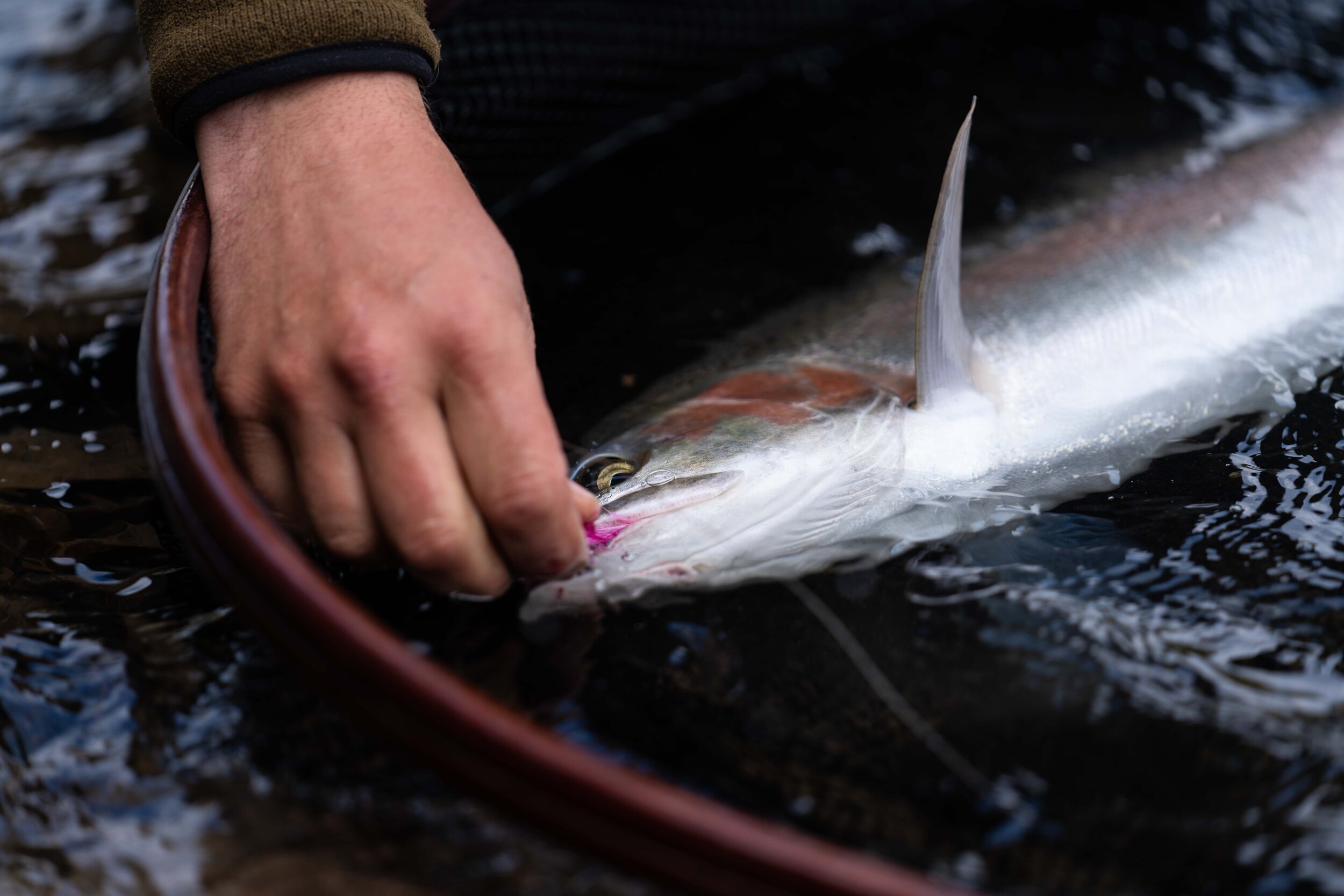 chasewhite-bulkleybasecamp-2019-171.jpg