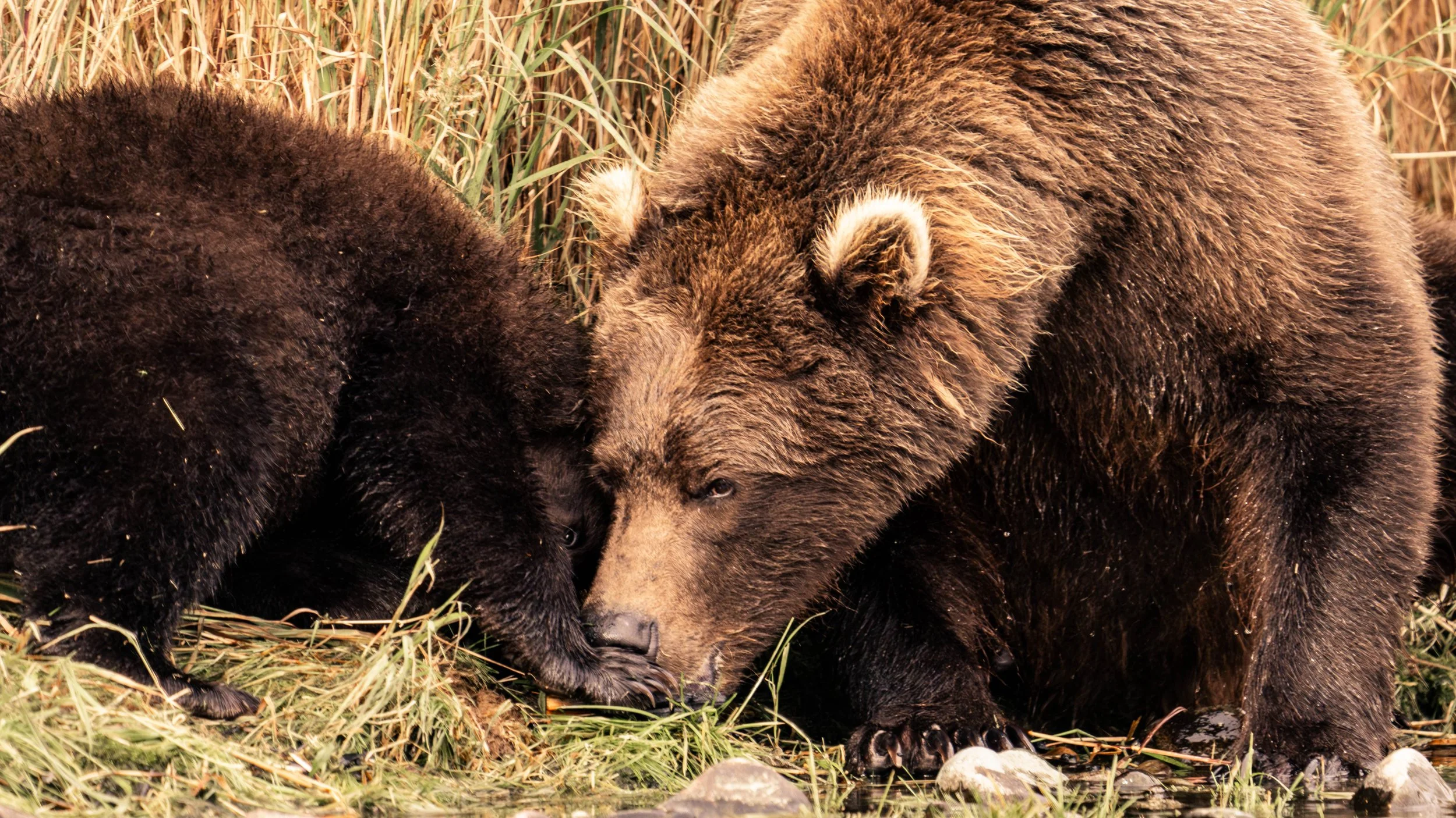 58NALASKA-CHASEWHITE-SEPT2023-ALLSELECTS-584.jpg