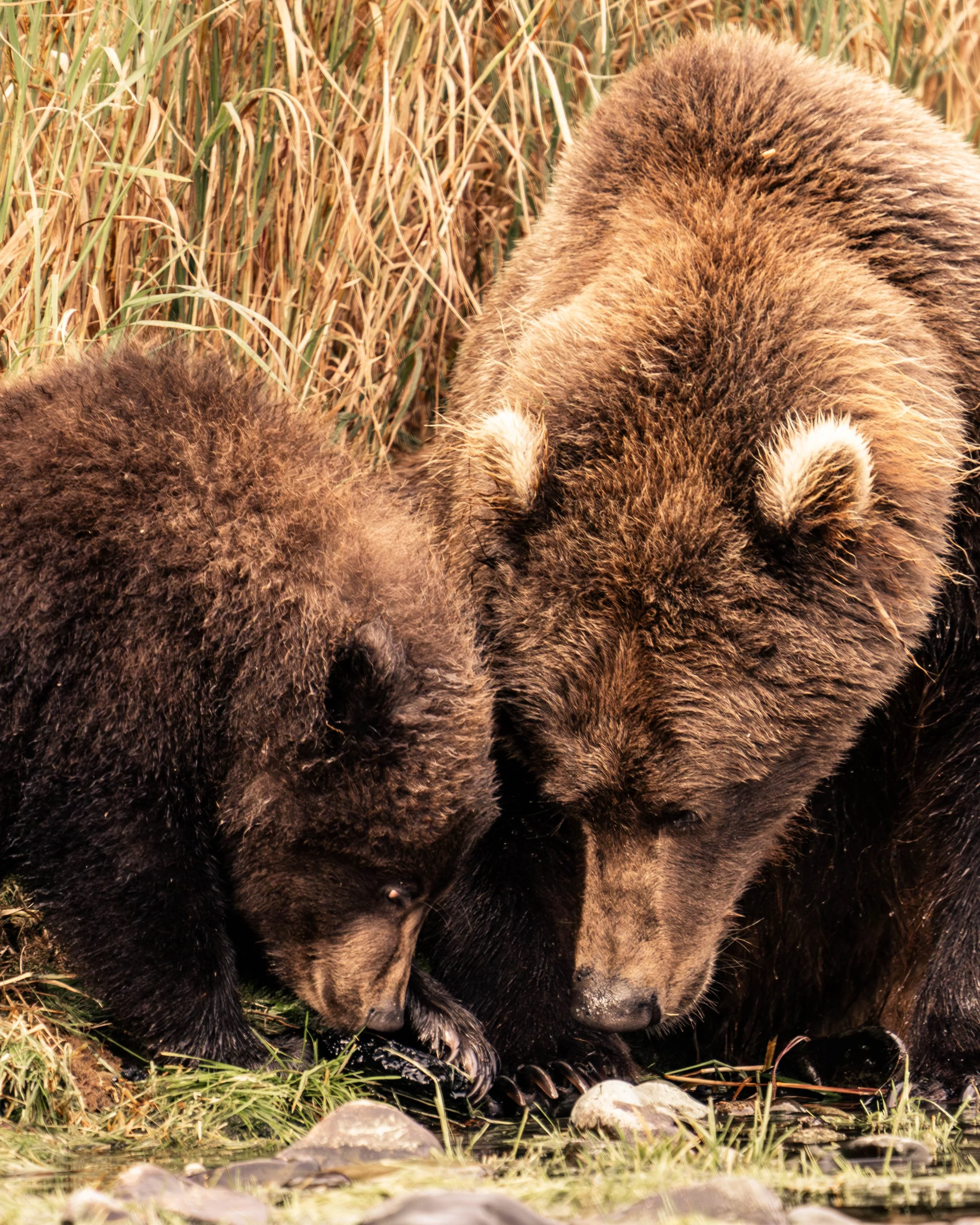 58NALASKA-CHASEWHITE-SEPT2023-ALLSELECTS-589.jpg