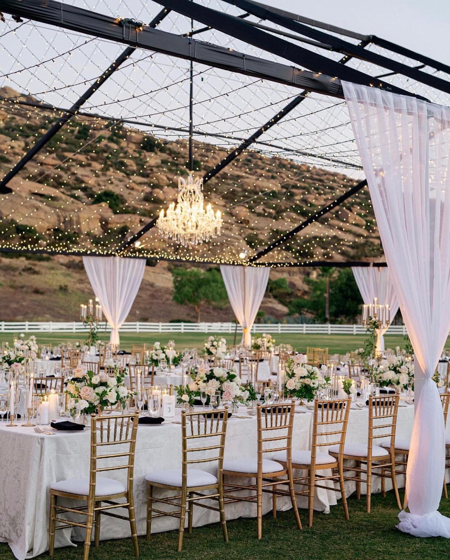 From vision to perfection 🤩 I am loving this gorgeous sneak peek gallery from @christineskariphotography for Skyler and Shane's wedding! Throughly enjoyed working with our bride, designing her dream wedding. Can&rsquo;t wait to share more pics from 