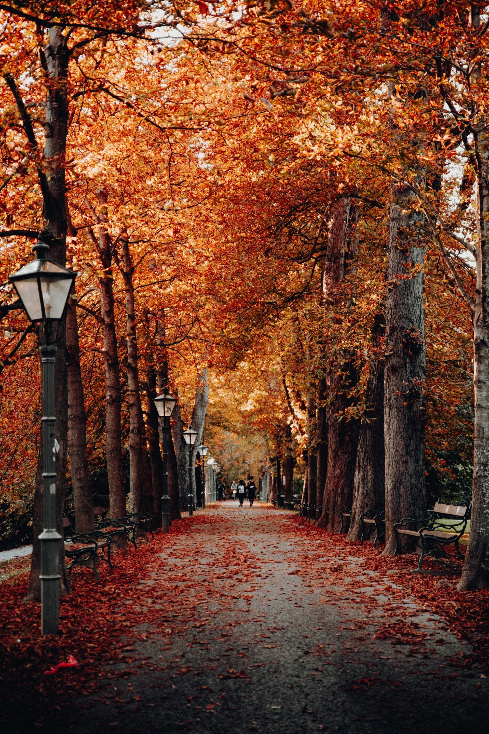 The unexpected path to serenity
