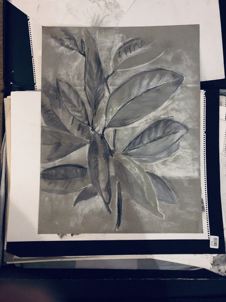28492A38-AD24-4509-8236-03A79BF70571_1_105_c.jpeg