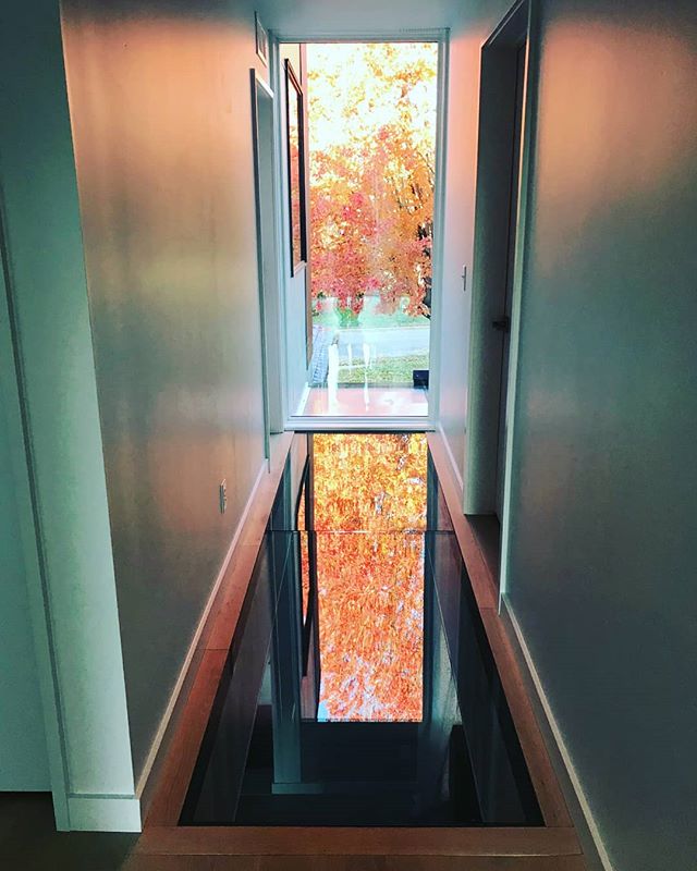 The Maples are in full color! The evening views over the glass floor reflects the beautiful colors.