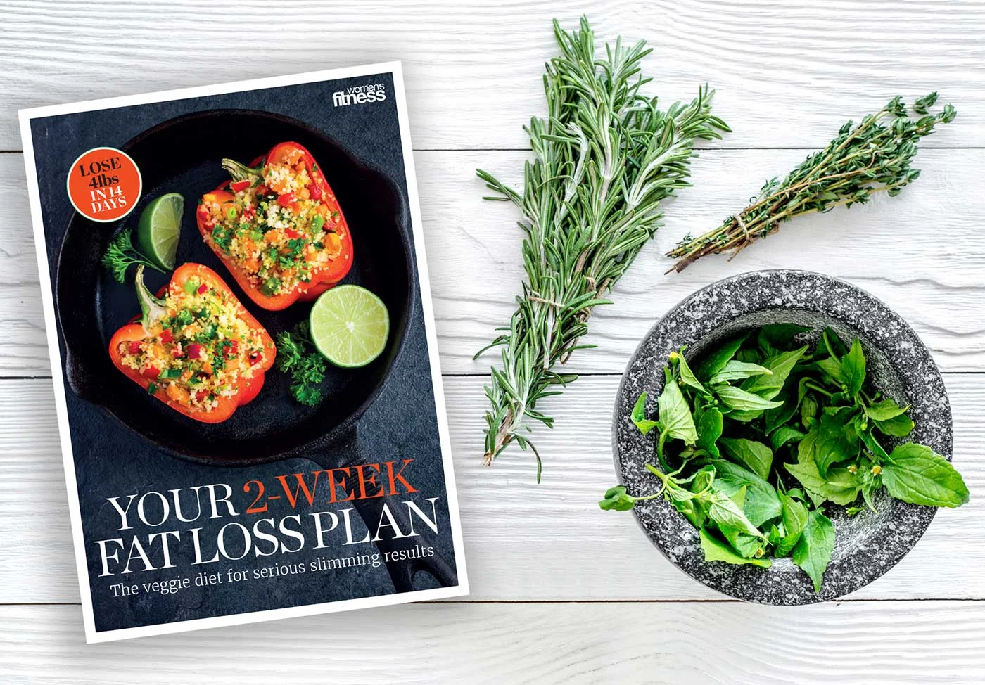 superfly-creative-fanni-williams-graphic-design-flatlossplan-health-wellness-book-guide-1-opti.jpg