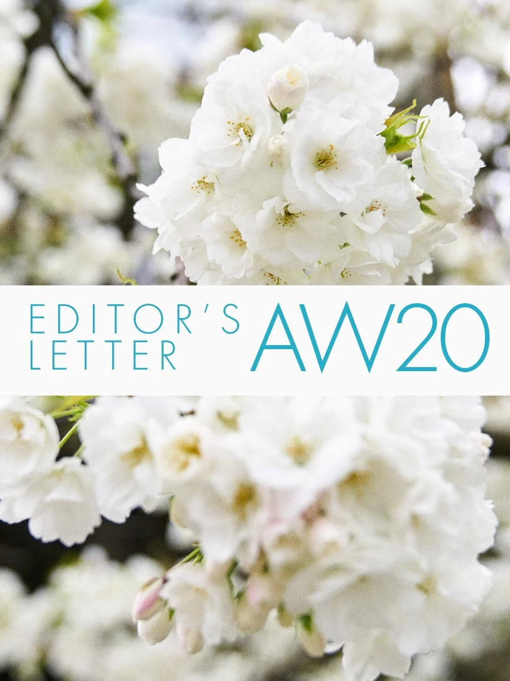 AW20:  Editor's Letter