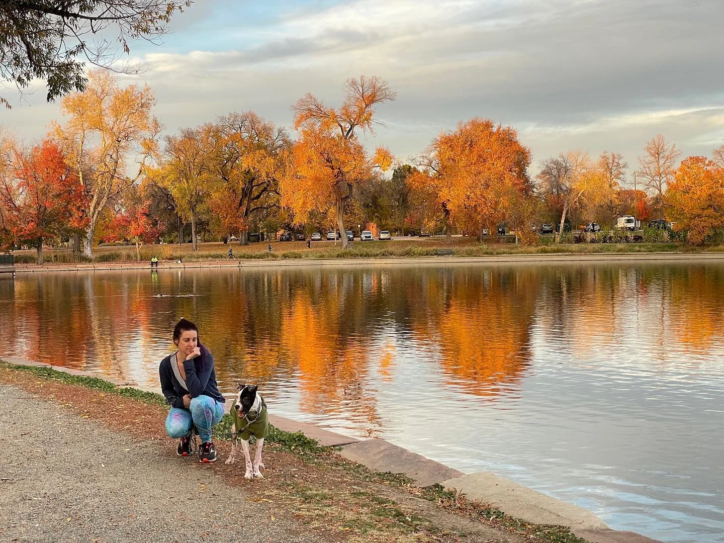 Today we are going to say goodbye to our sweet sweet Loki bear. 2 years ago when we went to the shelter, TJ was mostly placating me. I&rsquo;d been bugging him daily for months and he didn&rsquo;t expect to leave with a dog (I, on the other hand, kne
