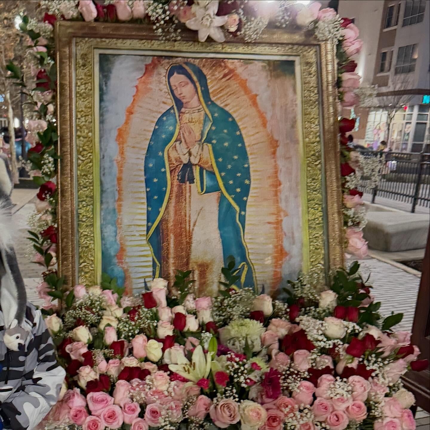 A beautiful procession took place this evening from the town square to begin the celebration of Our Lady of Guadalupe! We hope you can join us tonight for Holy Mass at 11pm! 🌹🤍

#saintbridgetuniversityparish #ourladyofguadalupe
