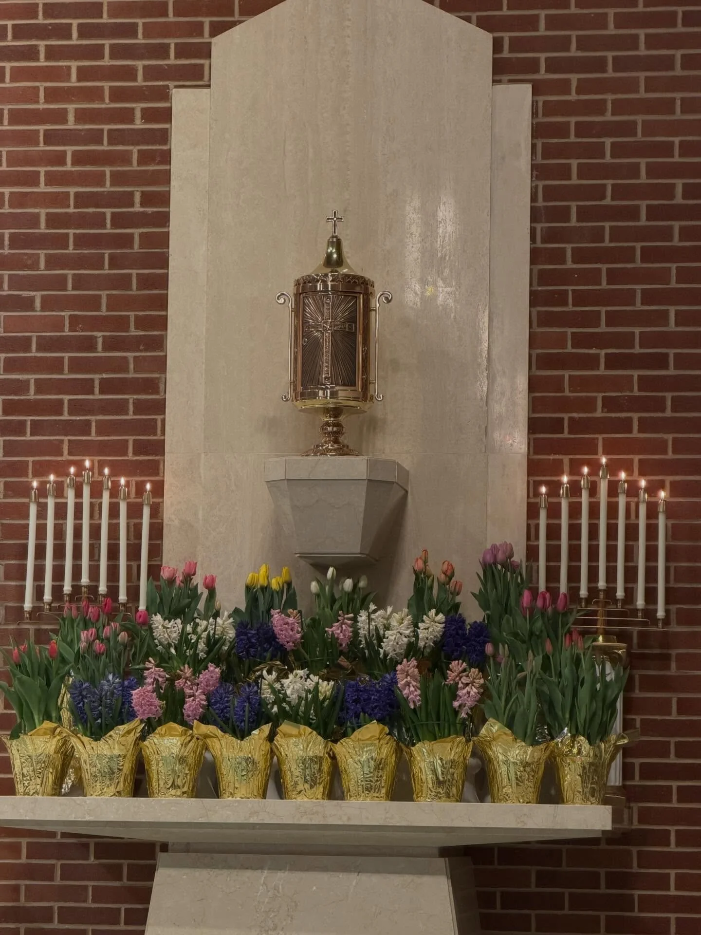 Holy Thursday Mass of the Lord&rsquo;s Supper at St. Bridget University Parish. 🙏🏻✝️

#stbridgetuniversityparish #rowancatholic #rowanuniversity #catholicampusministry  #HolyThursday