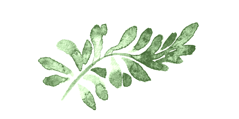 light green leaf branch.png