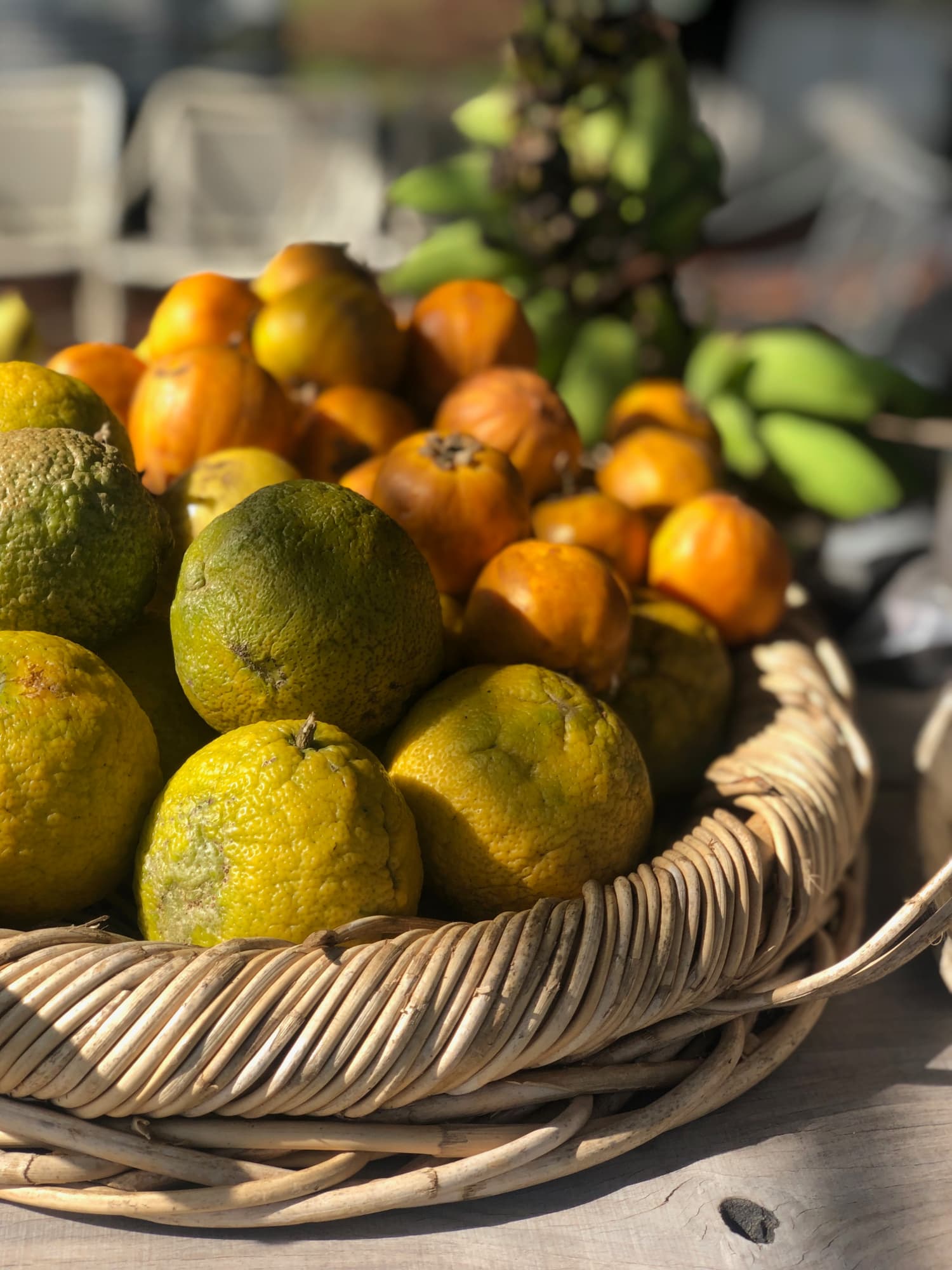 The amazing Farmer's Market