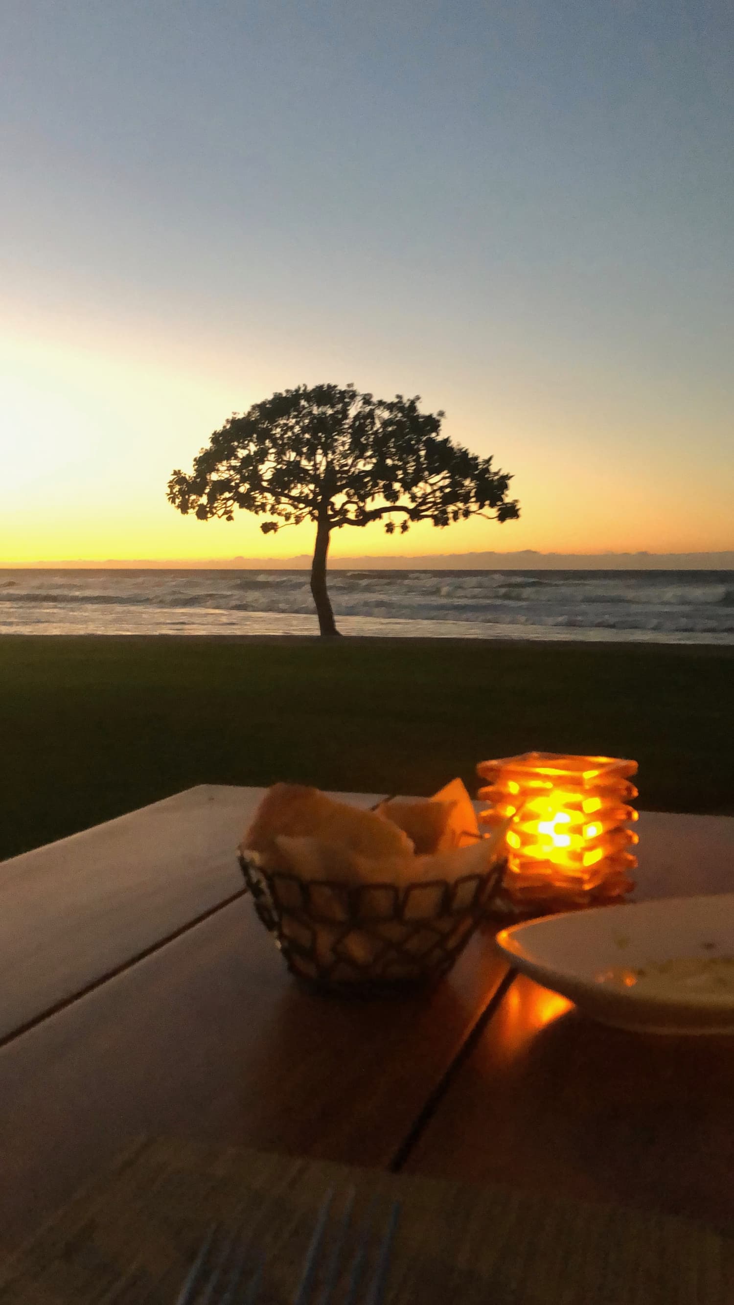 Beach Tree Restaurant views