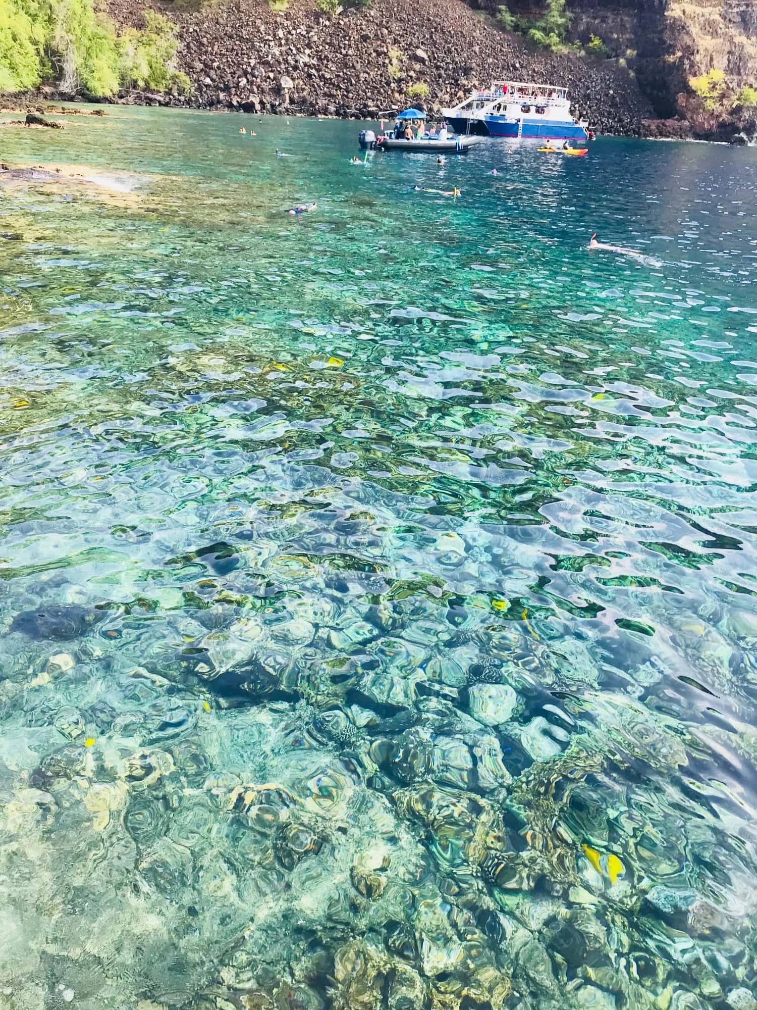 The water is perfectly clear and full of incredible ocean life.