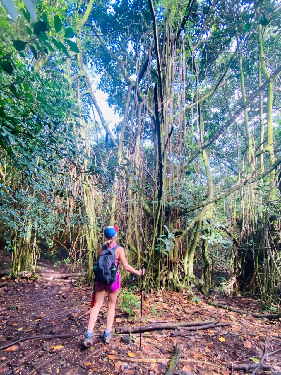 Hiking on the Big Island