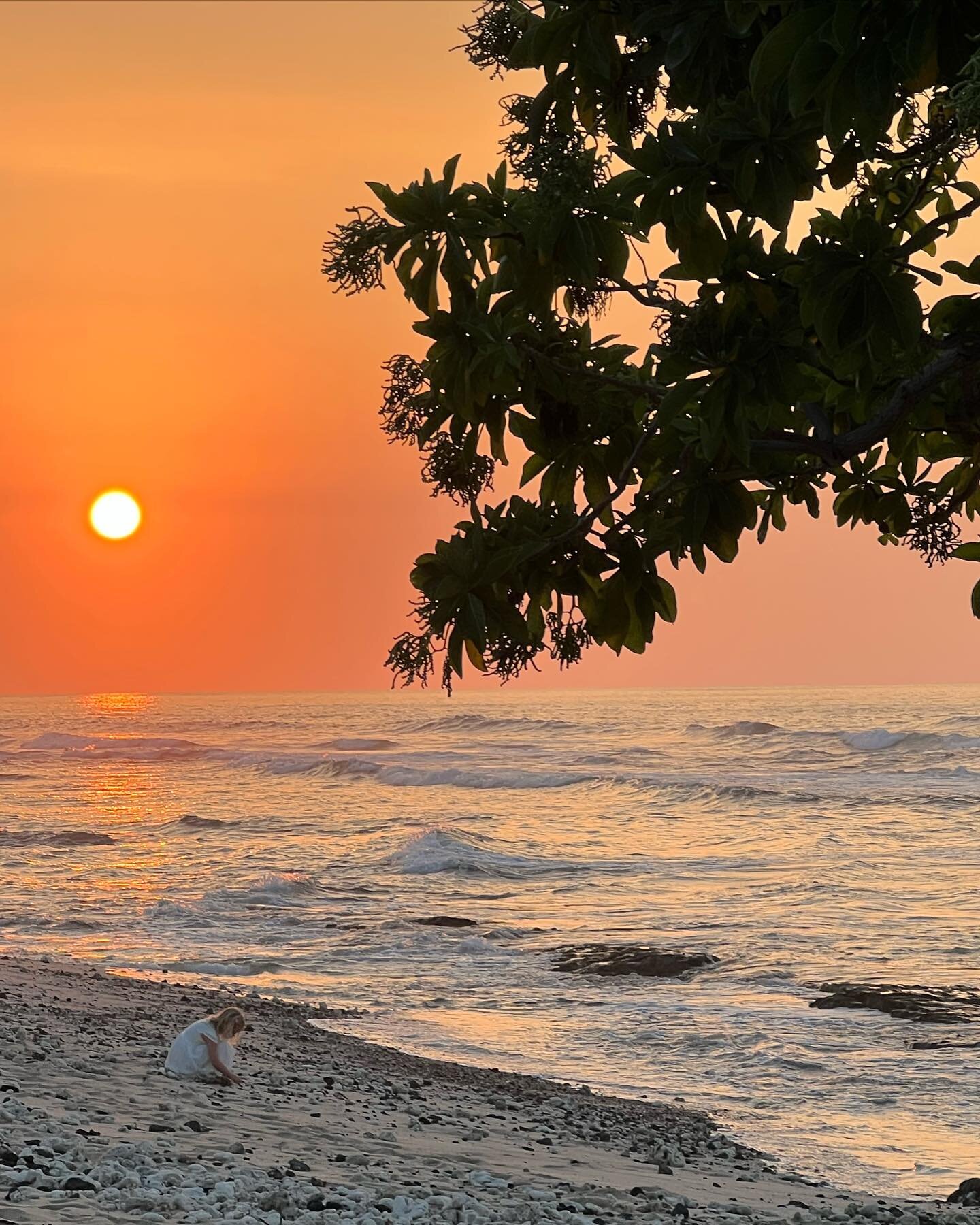 Hualālai 🌺 Come enjoy at stay at @maluhia_hale_at_hualalai  #fshualalai #hualalai #luxuryhomerentals #luxuryretreats #onefinestay #privatehomeshawaii #vacationrental #holidayhome #explorehawaii #vacationhawaii #bigisland #aloha #hawaii #stayonedegre