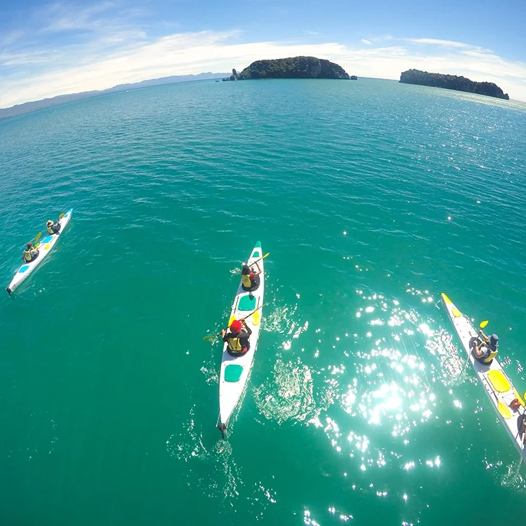 golden-bay-kayaks-x-4-heading-out-opti.jpg