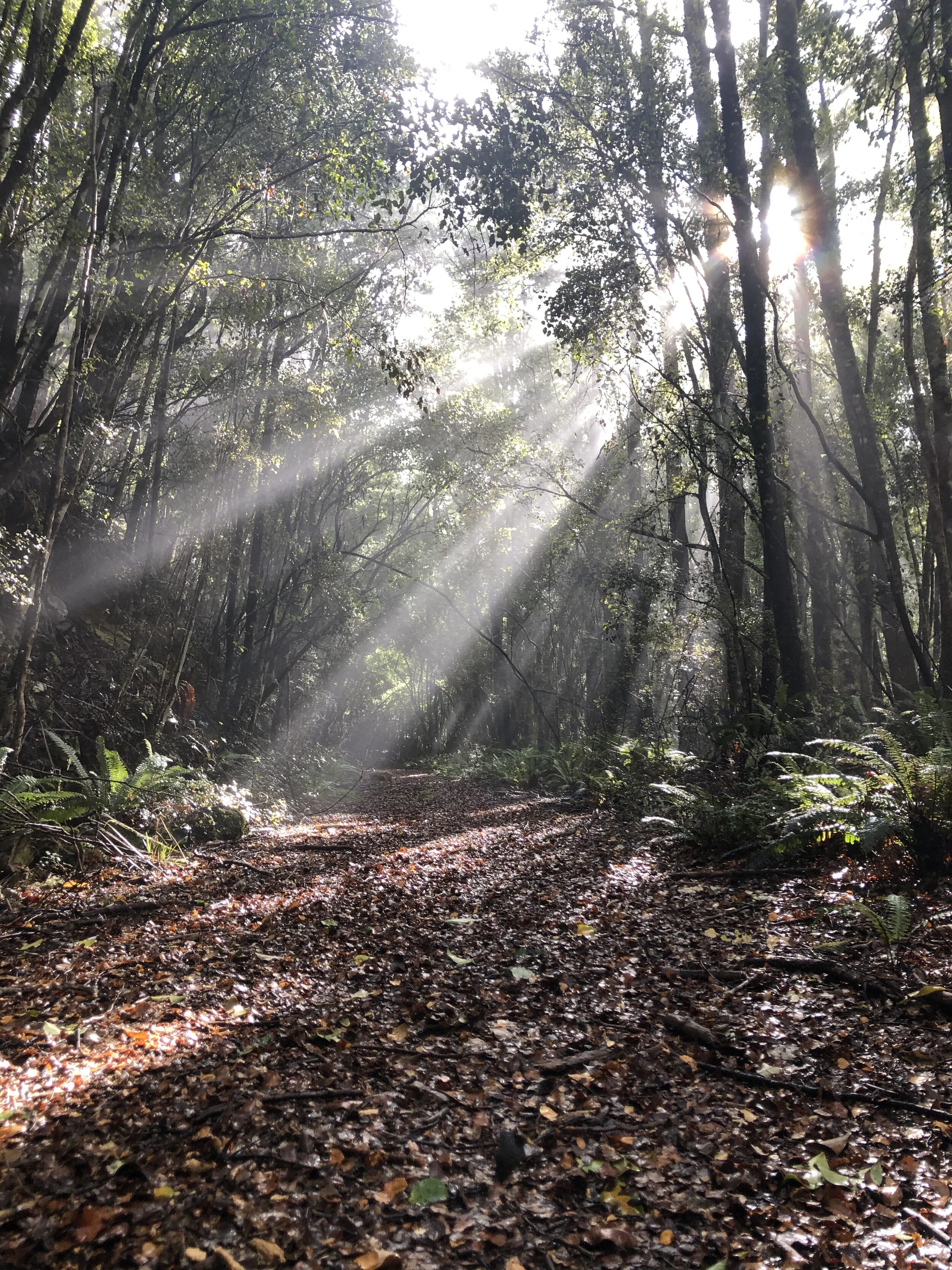 What on earth do you do in Golden Bay?