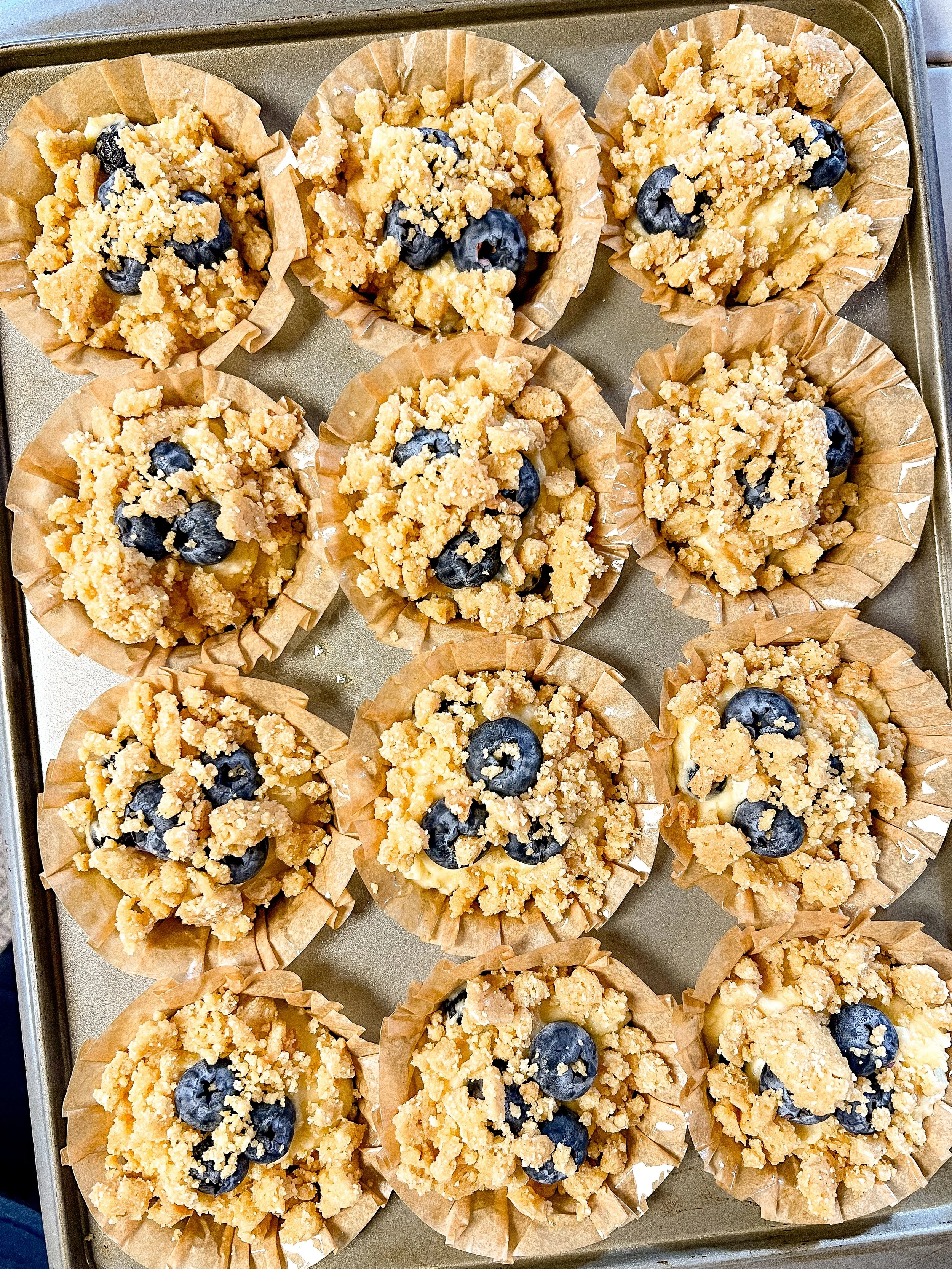 Sourdough Blueberry Muffins
