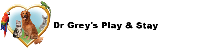 Dr. Grey's Play & Stay