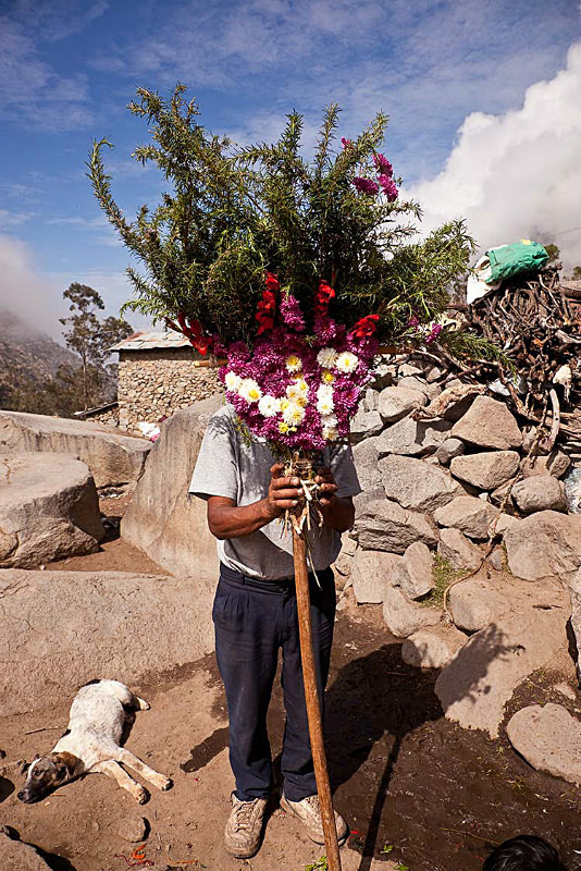  Flowers for the Virgin of Candelaria, Tupe, 2013 