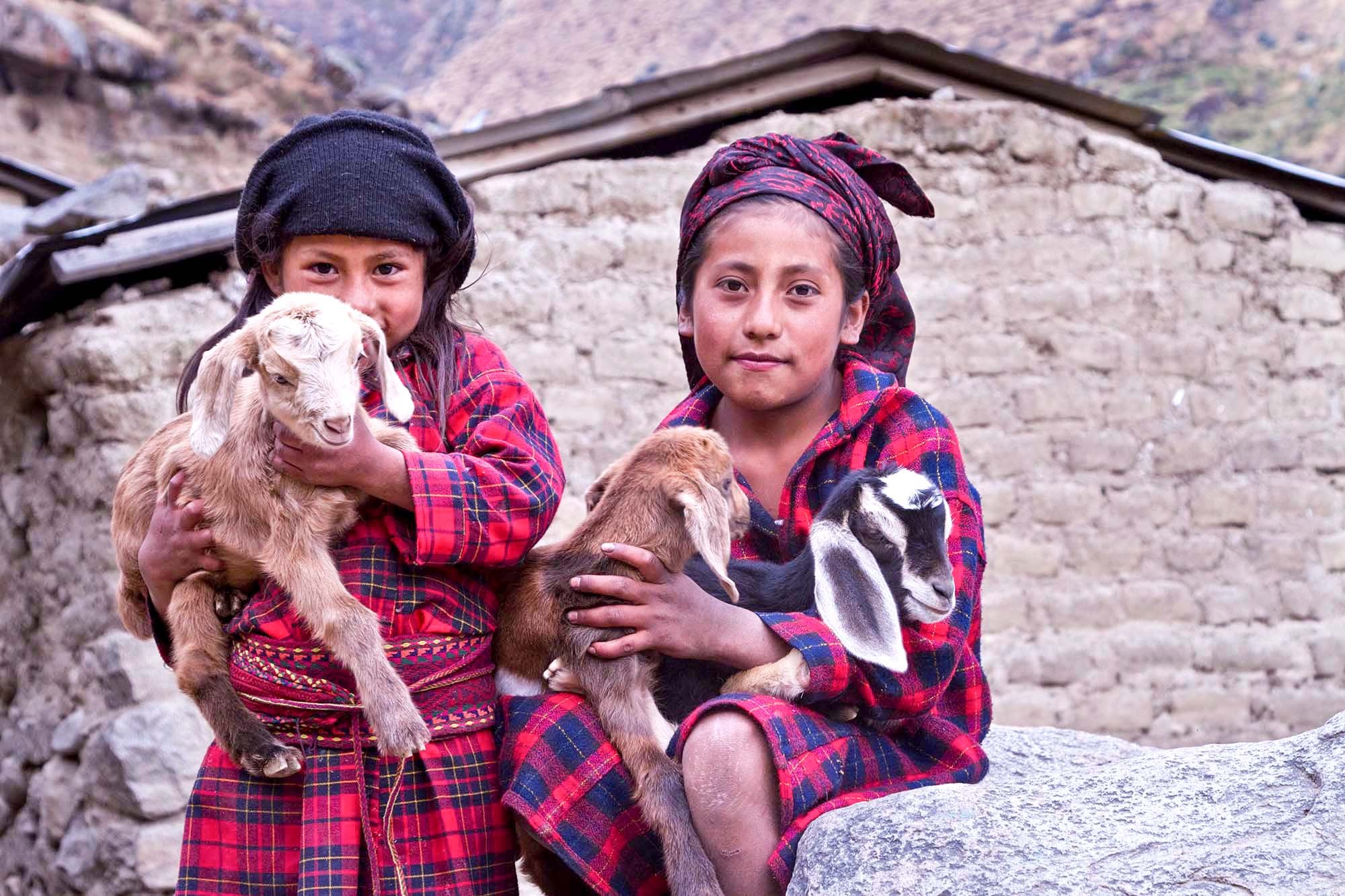  Children help with daily chores after school taking their herds to graze in the mountains. 